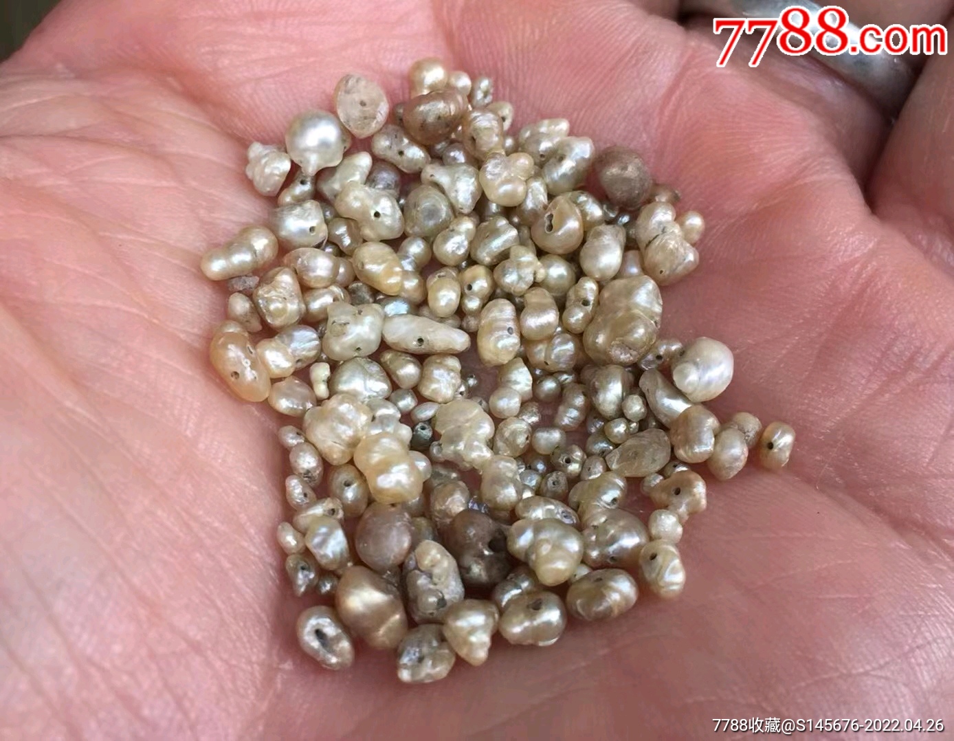 清末民初天然珍珠