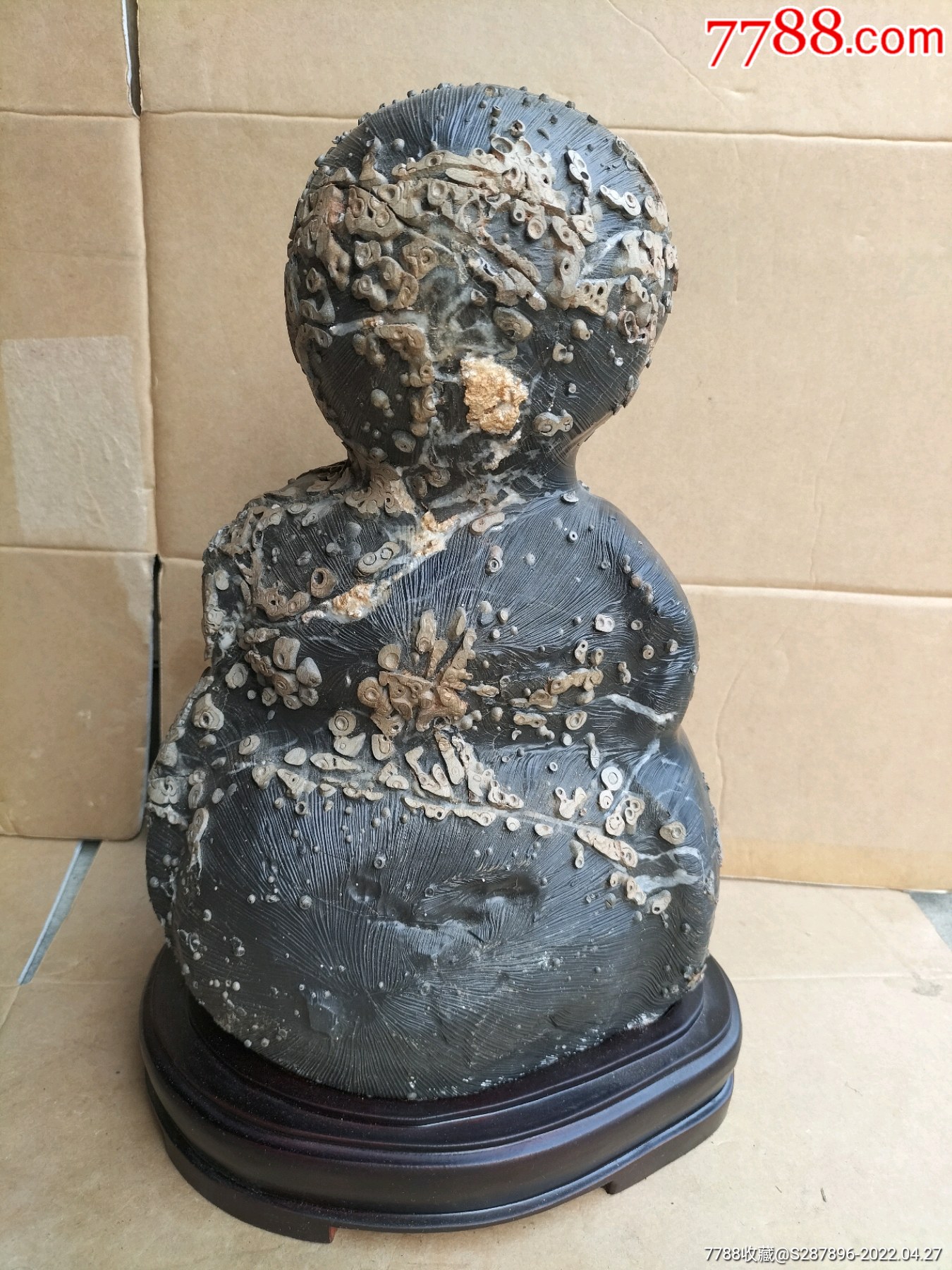 黑珍珠石毛纹奇石品相生动形象石樱童