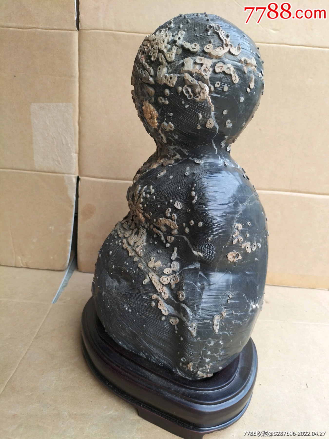 黑珍珠石毛纹,奇石品相生动形象石樱童-价格:3800元-se86769184-其他