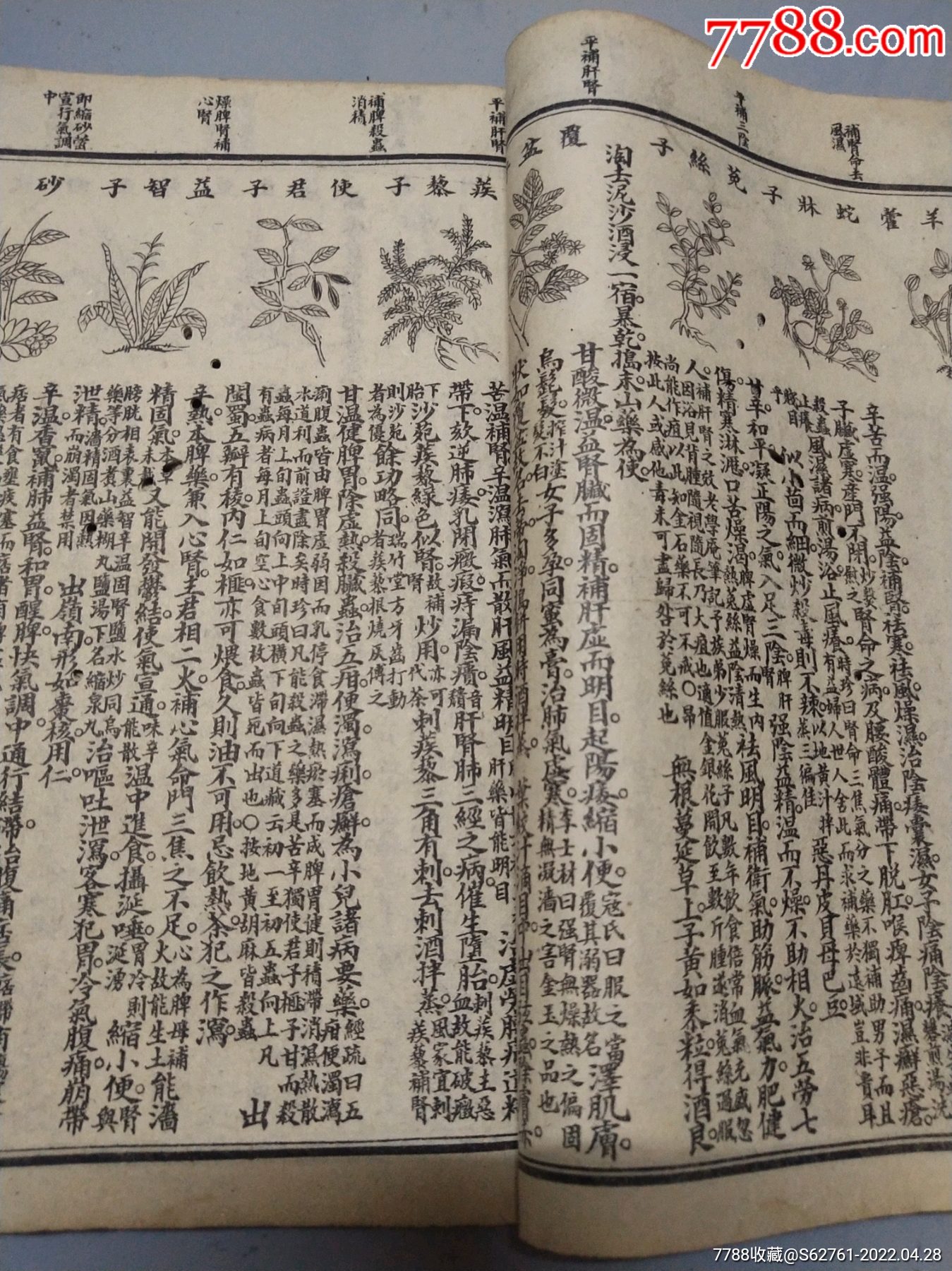 a22古籍医书本草备要