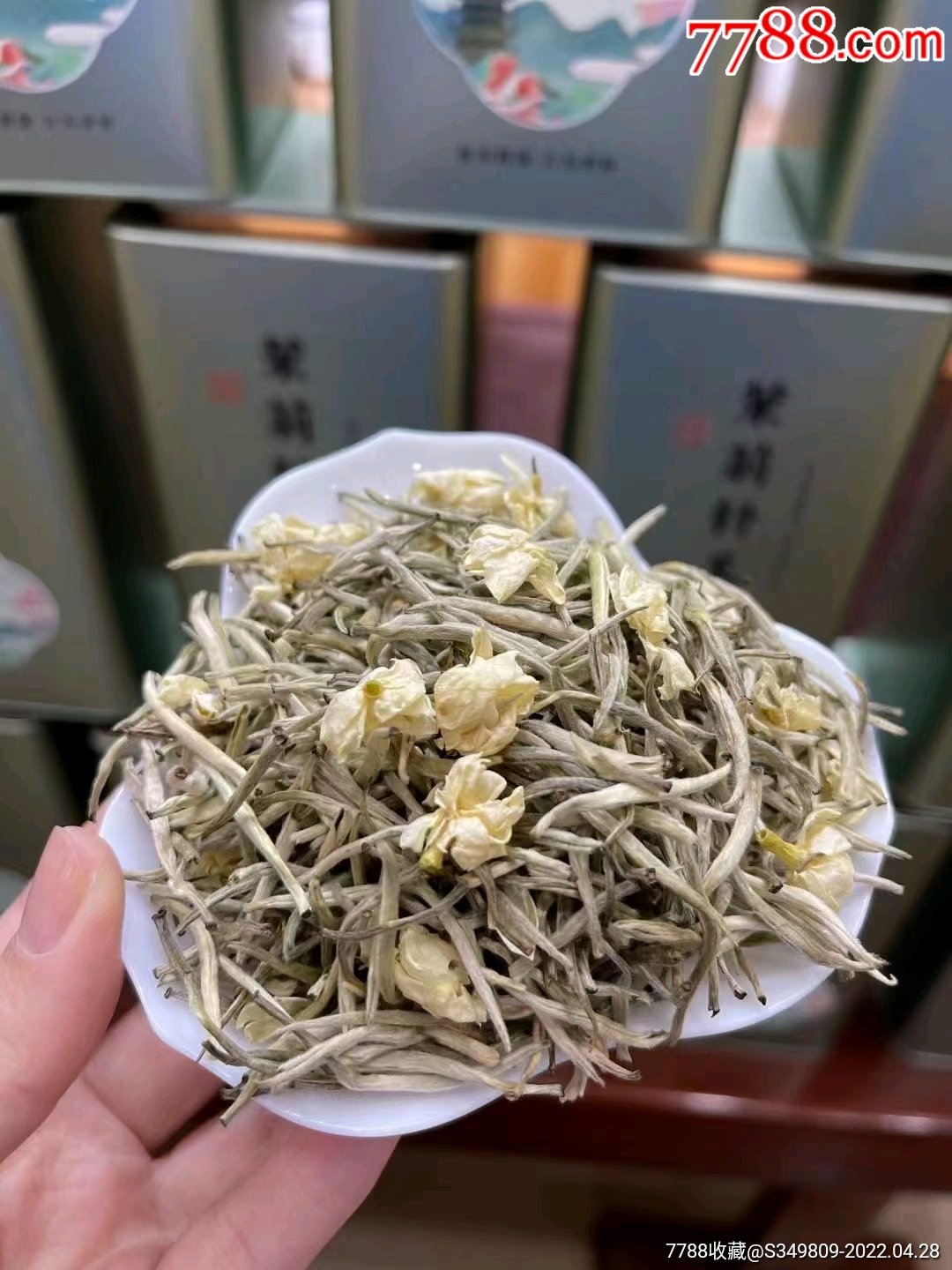 茉莉兰妃简介图片