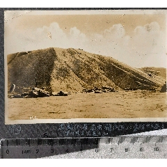 尚志市一面坡和齐齐哈尔依安县大豆,育林,少见民俗史料,照片清晰完好