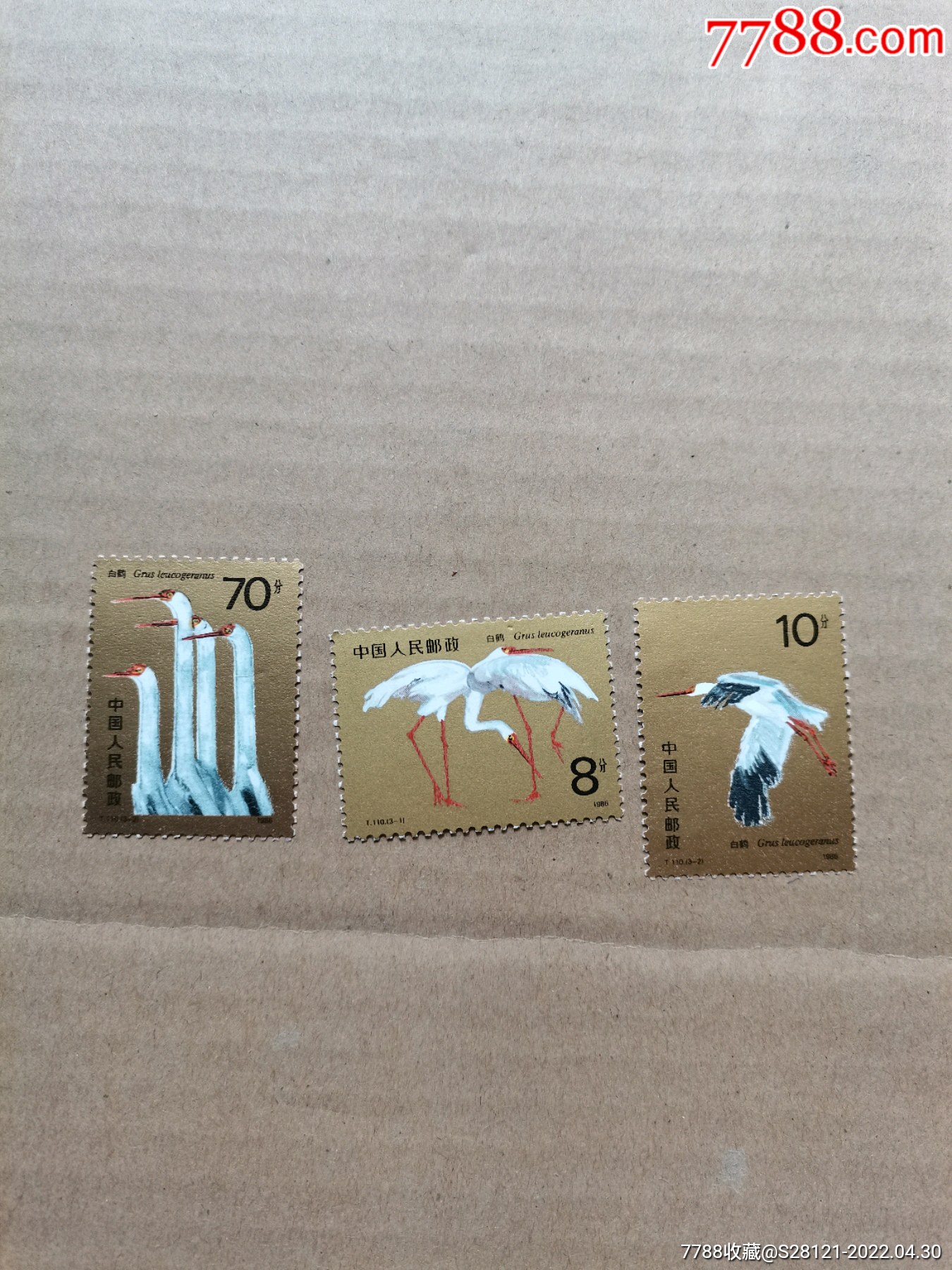 110白鹤-价格:6元-se86825630-新中国邮票-零售-7788收藏__收藏热线