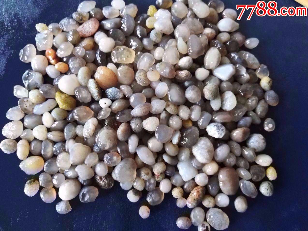晶莹刺透葡萄干玛瑙1元一个300个