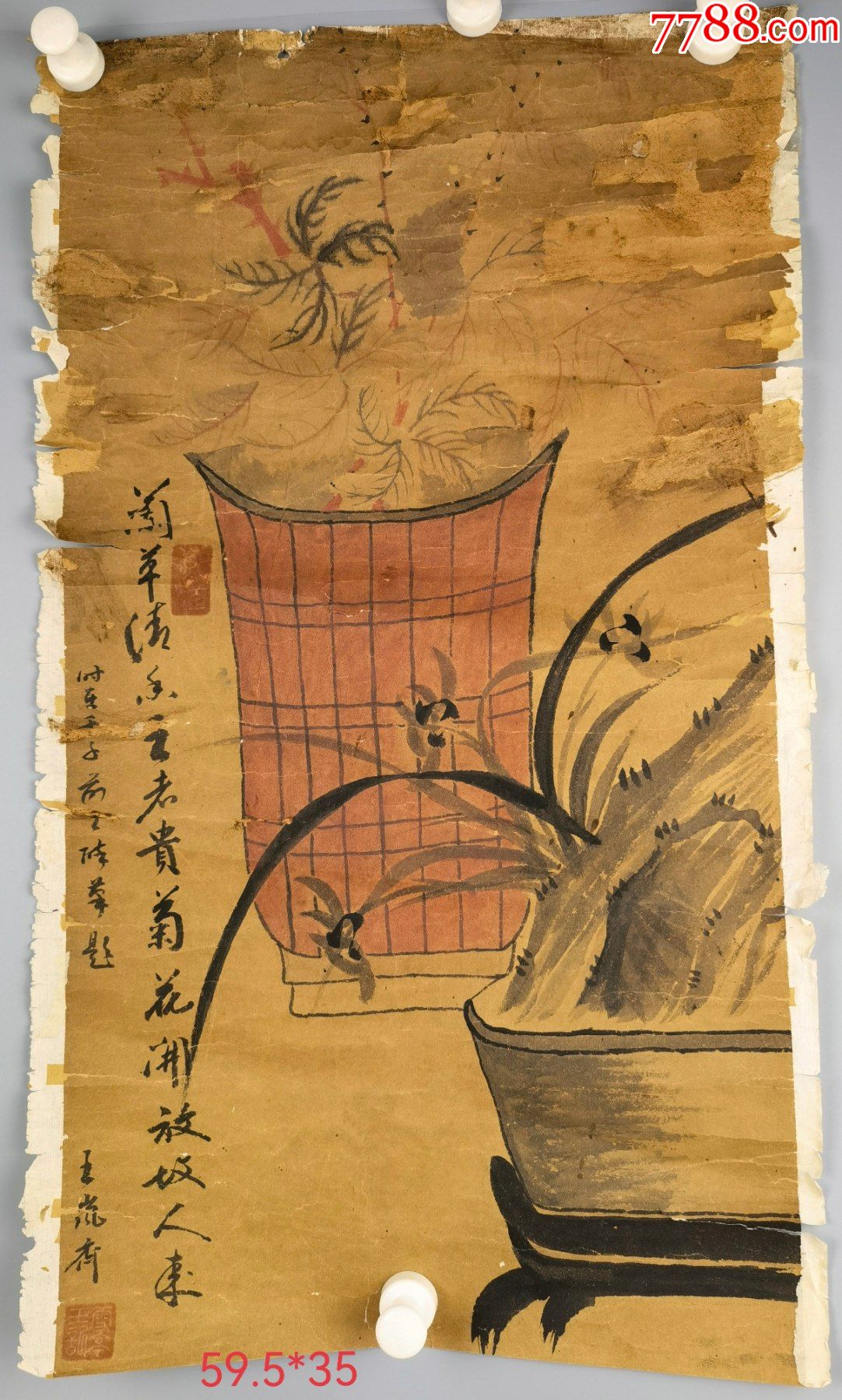 王雪亭款兰草图