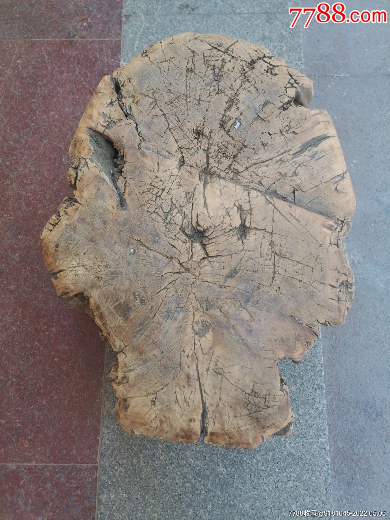 老柏木大尺寸柏木原木墩座