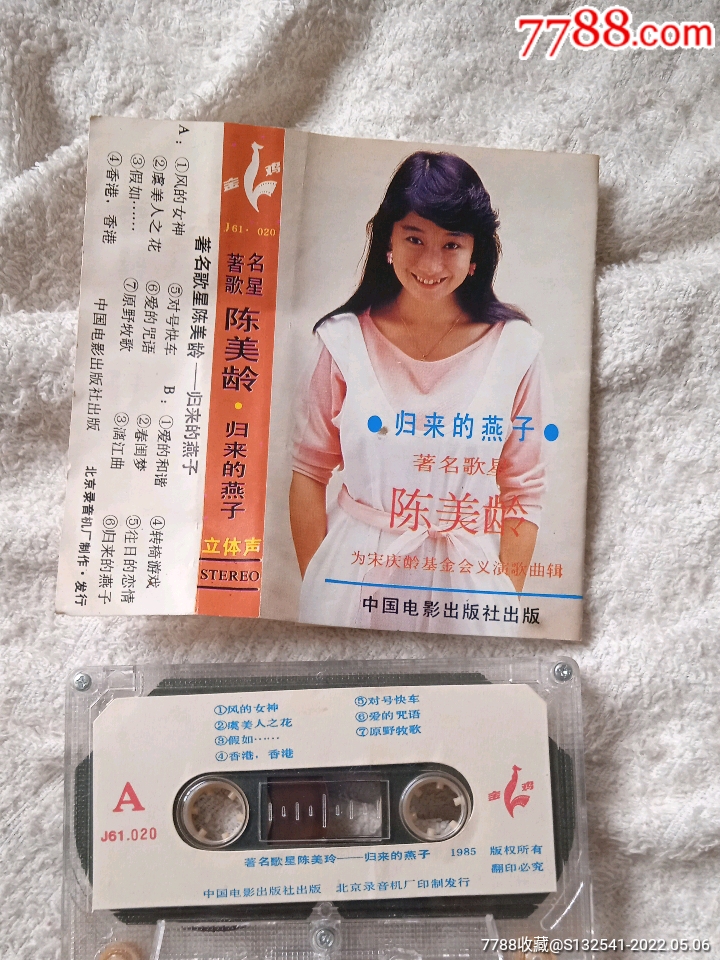 陈美龄归来的燕子