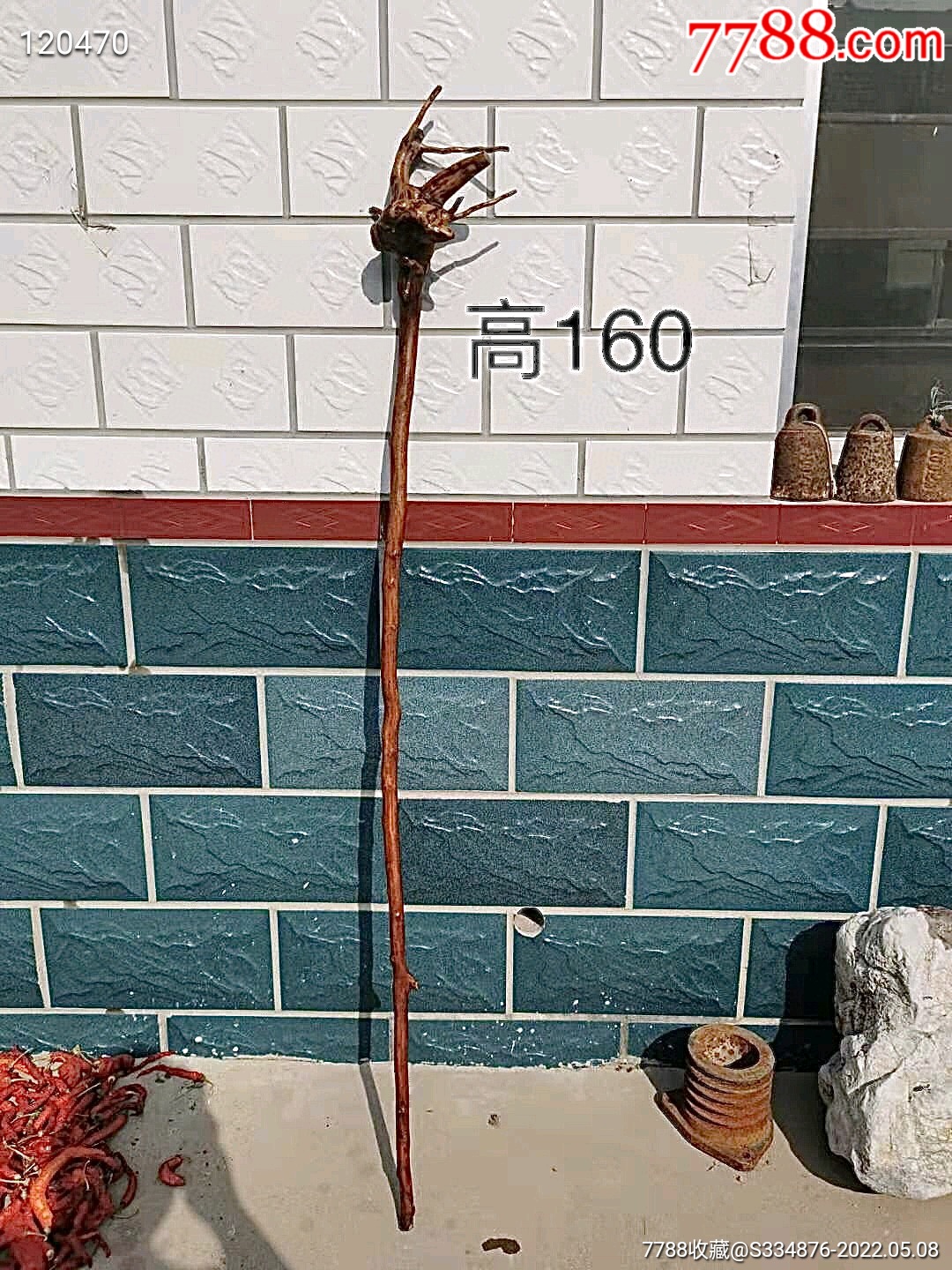 禅杖藤条拐杖登山杖纯天然原生头自然形成一只漂亮的鸟