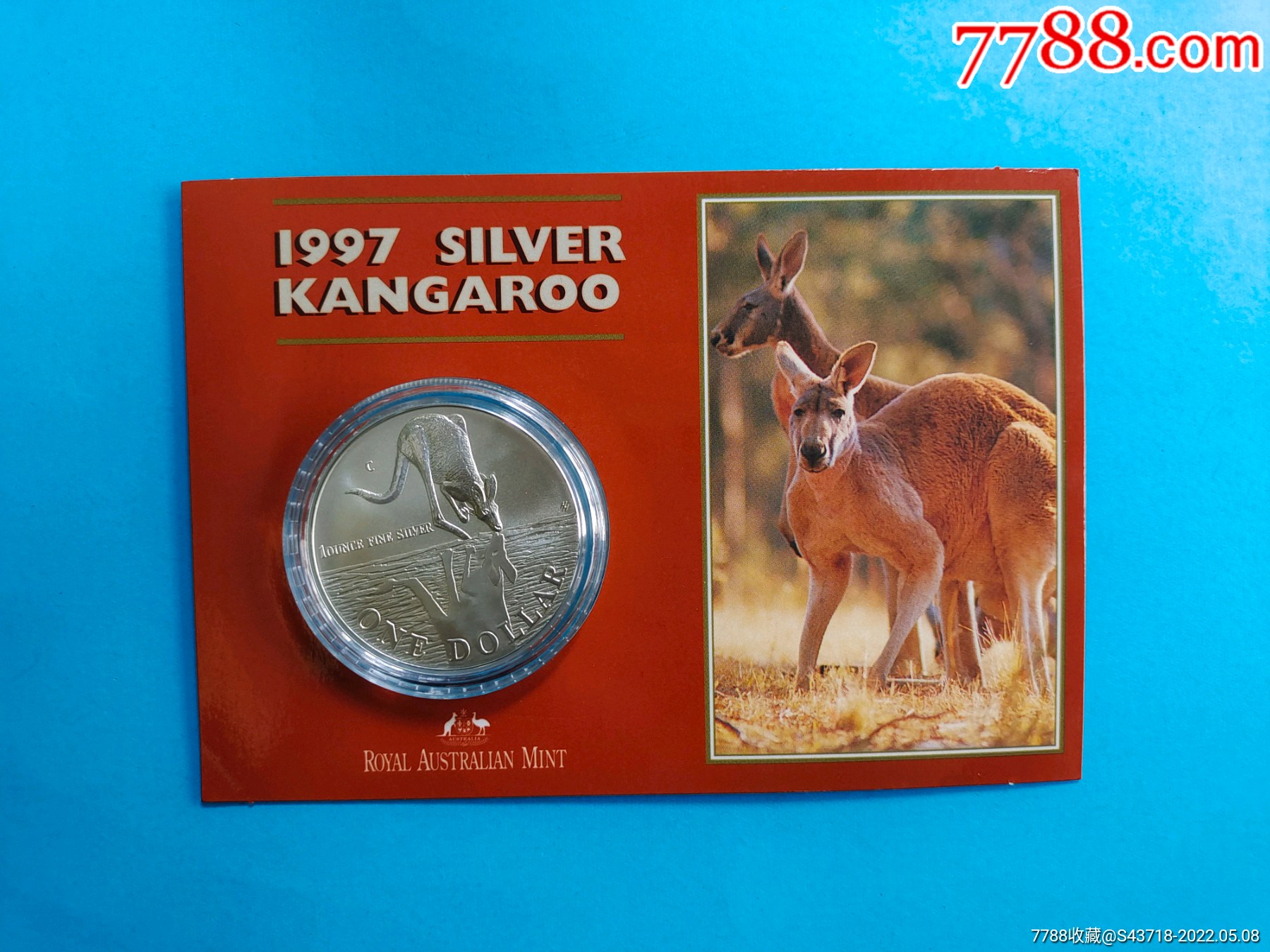 澳大利亚袋鼠邮票图片