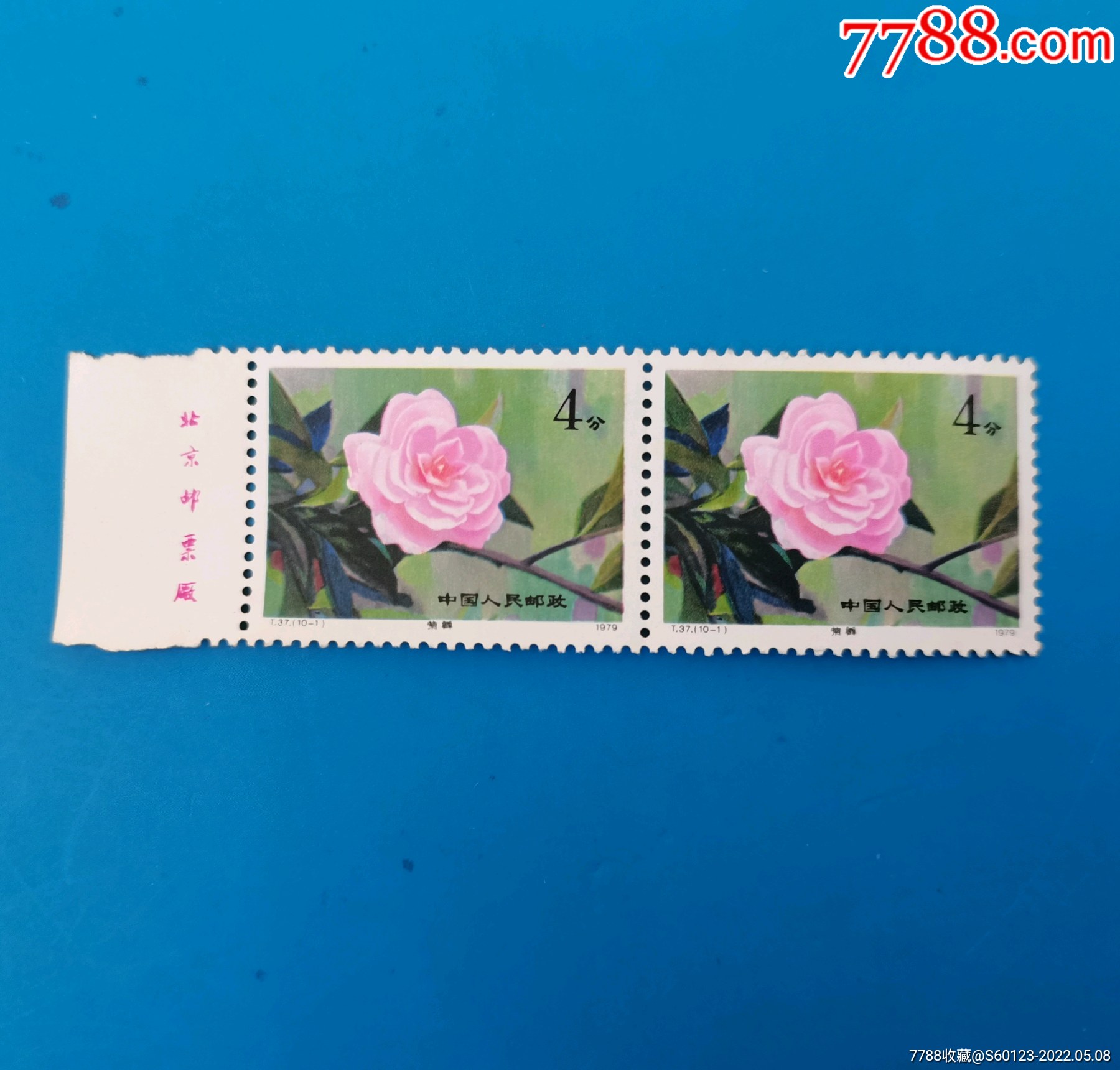 t37(云南山茶花)-新中国邮票-7788商城__七七八八商品交易平台(7788.