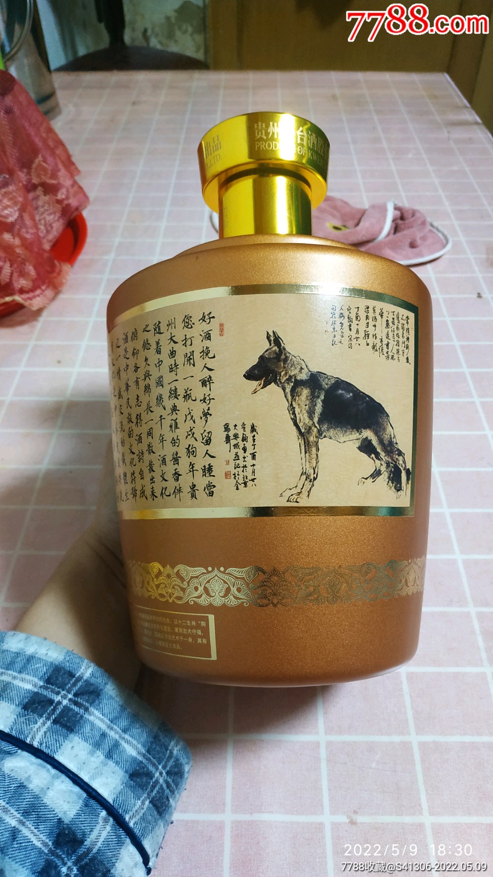 一只狗一瓶酒的图片图片