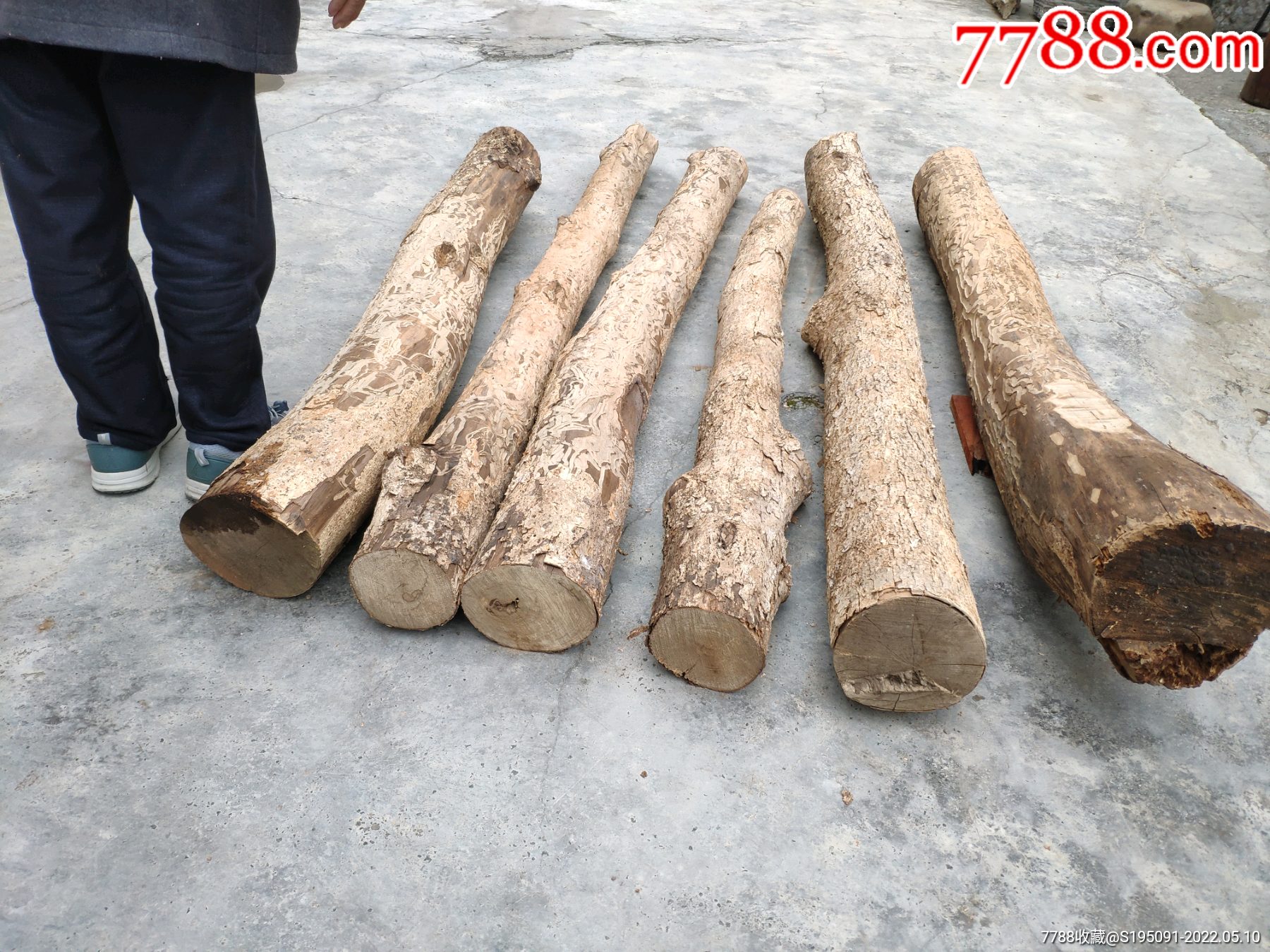 金丝楠原木老料干料266斤