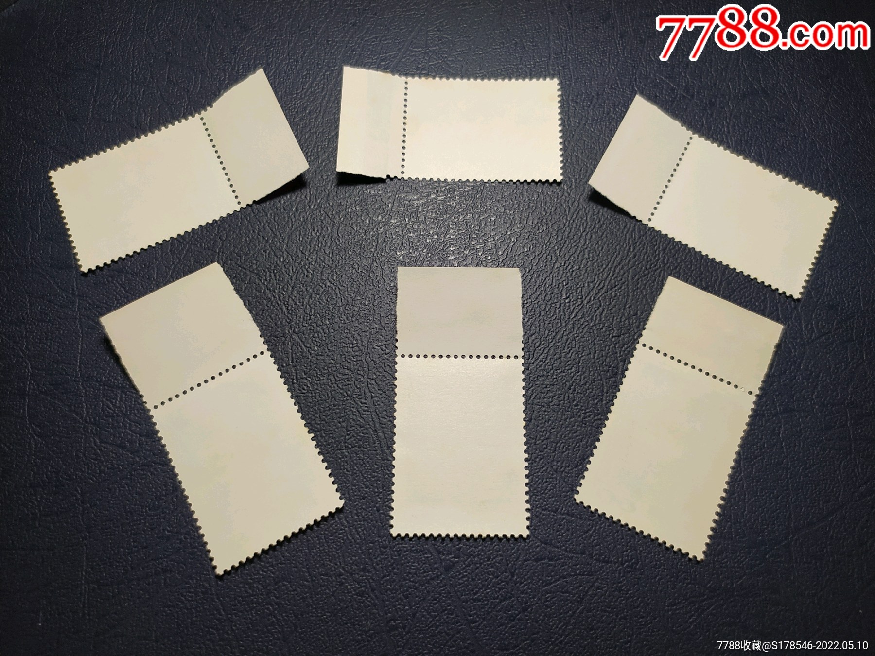 t55西双版纳邮票