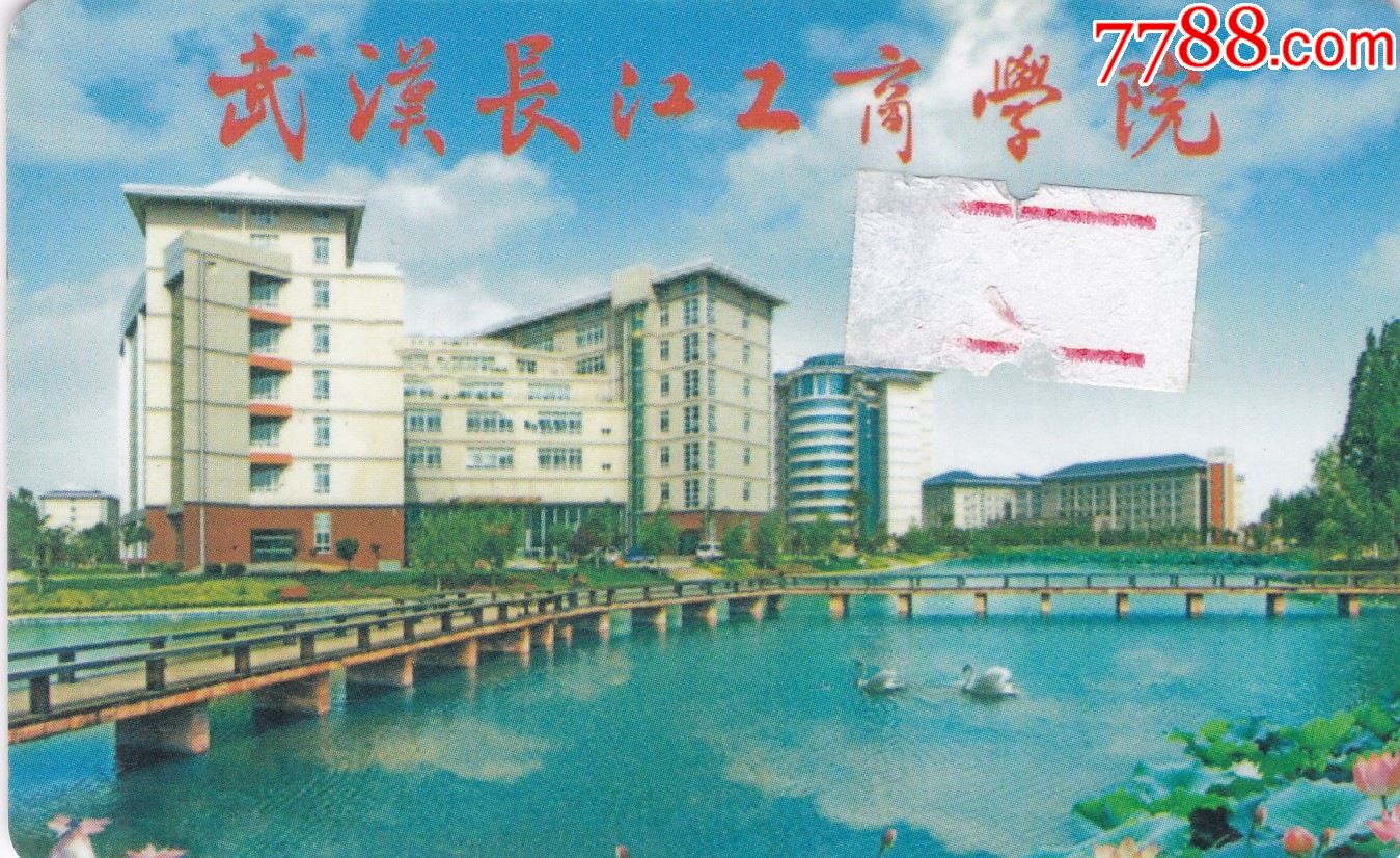 武汉长江工商学院