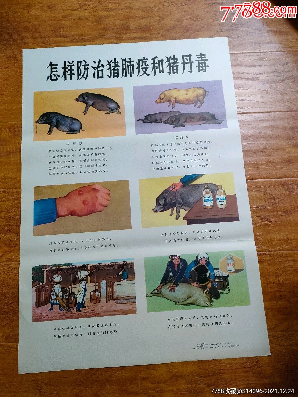 怎样防治猪肺疫和猪丹毒(对开)云南民族出版,1983年、-价格:19.99元-se87035882-年画/宣传画-零售-7788收藏__收藏热线