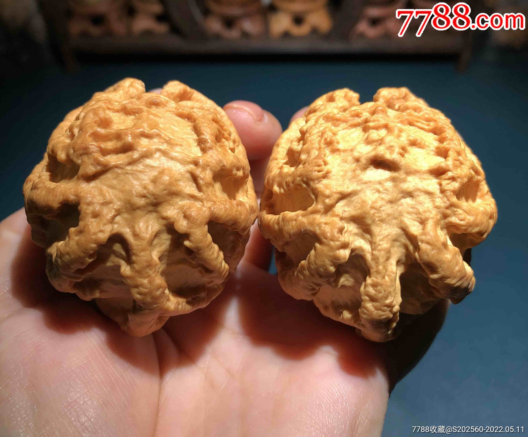 印尼进口野生乾坤鬼脸核桃29035