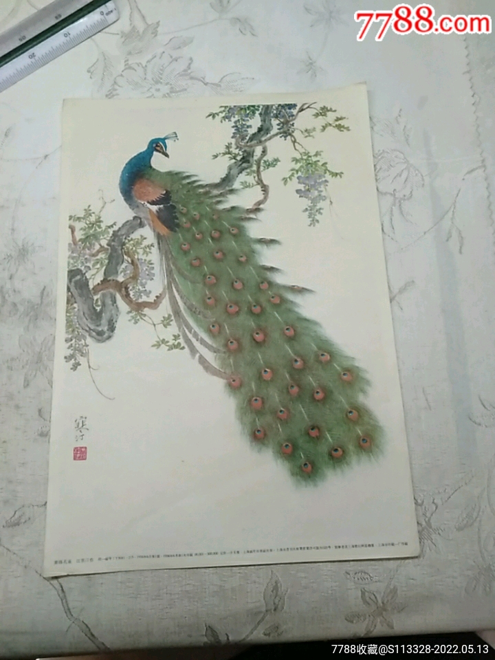 紫藤孔雀画片江寒汀作品长257厘米宽178厘米上海市印刷厂