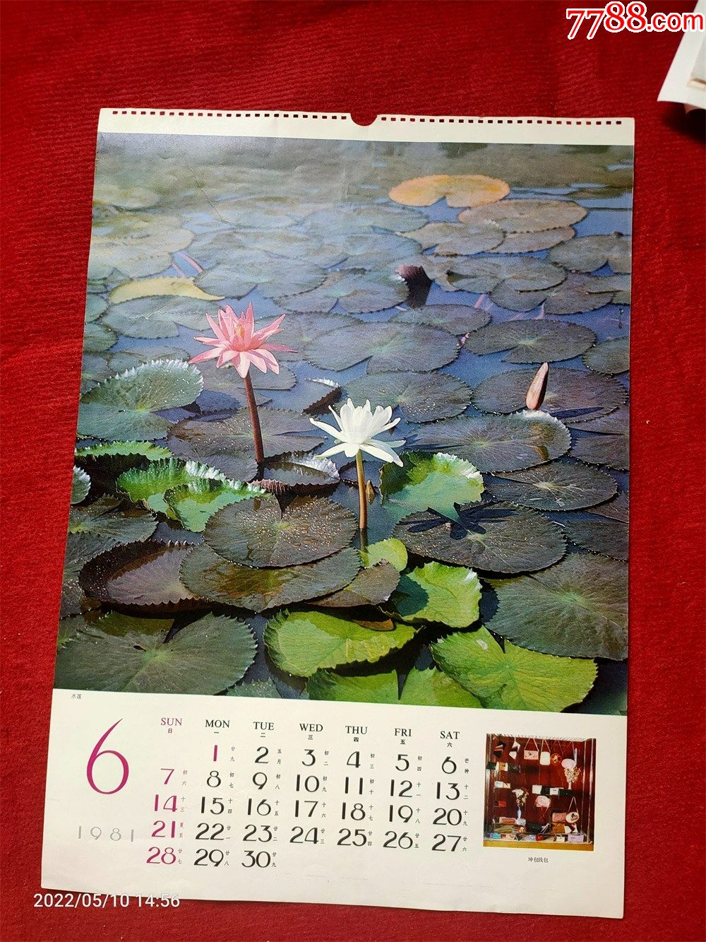 《水莲》八十年代尺寸54*38cm_挂历/台历_图片价格_收藏回收_7788粮票