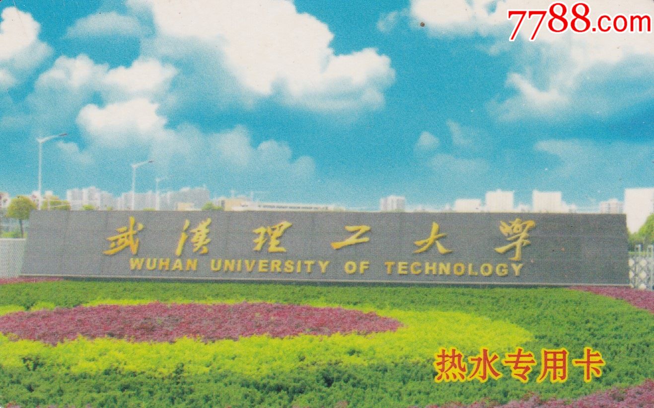 武汉工程大学校园卡图片
