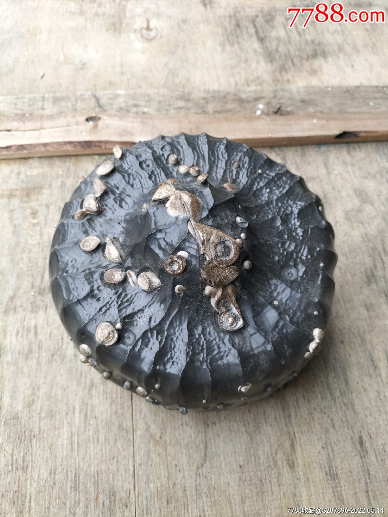 黑石胆石,奇石品相像酒坛-价格:866元-se87091081-其他奇石/岩石-零售