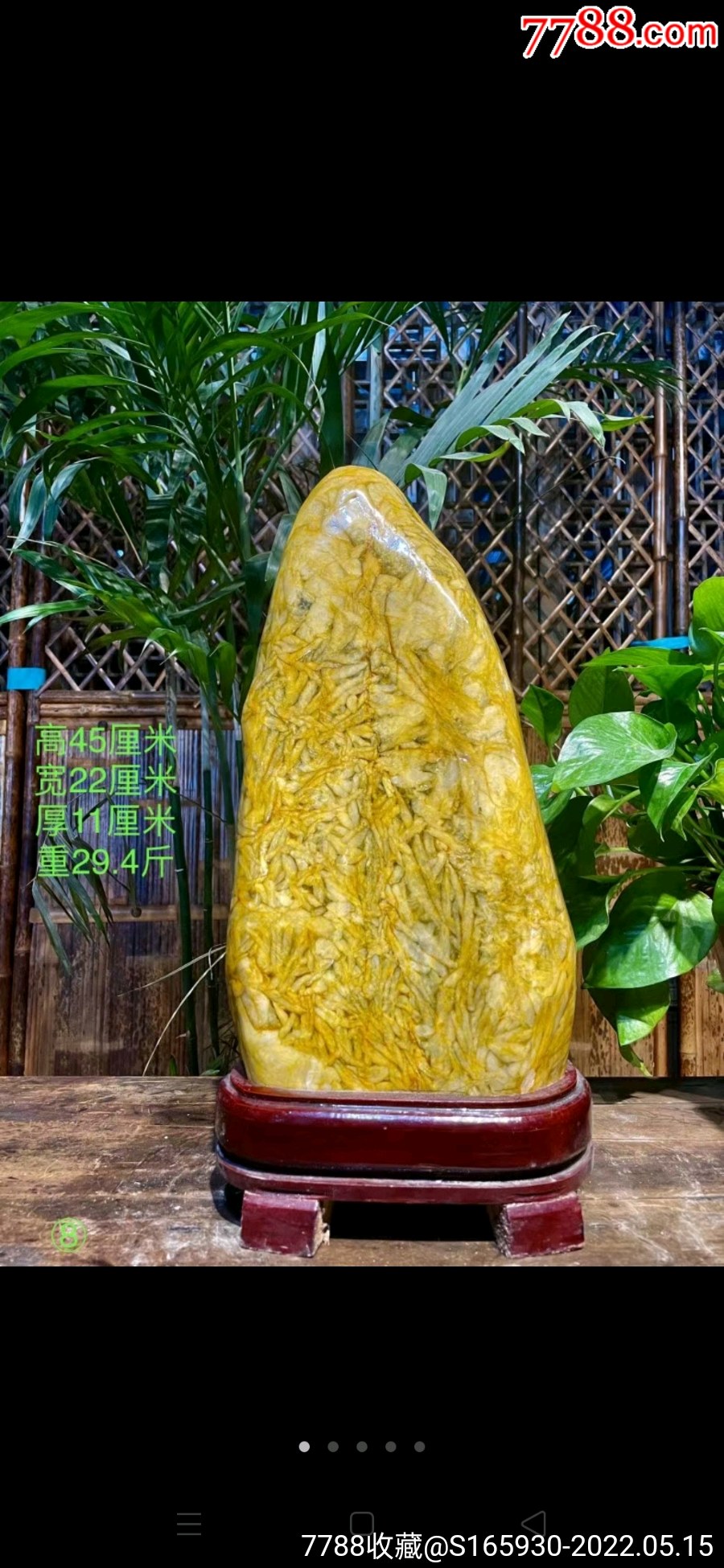 天然造型竹叶石黄金叶竹叶石又称五花石鱼籽石它是一种很有灵性的镇宅