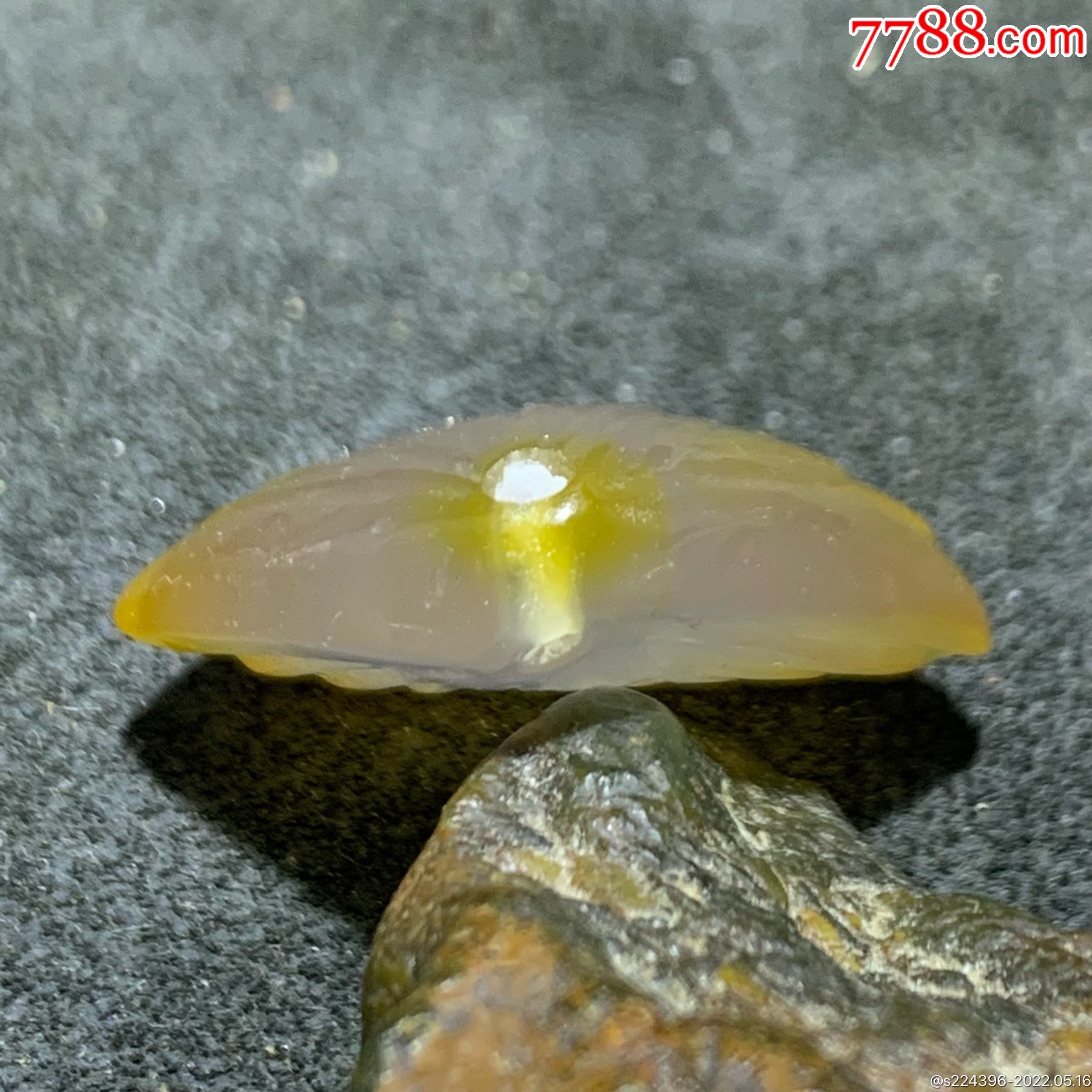 精美高润度冻料飘鸡油黄蒙料战国红玛瑙雕刻贝壳寓意辈辈富一个