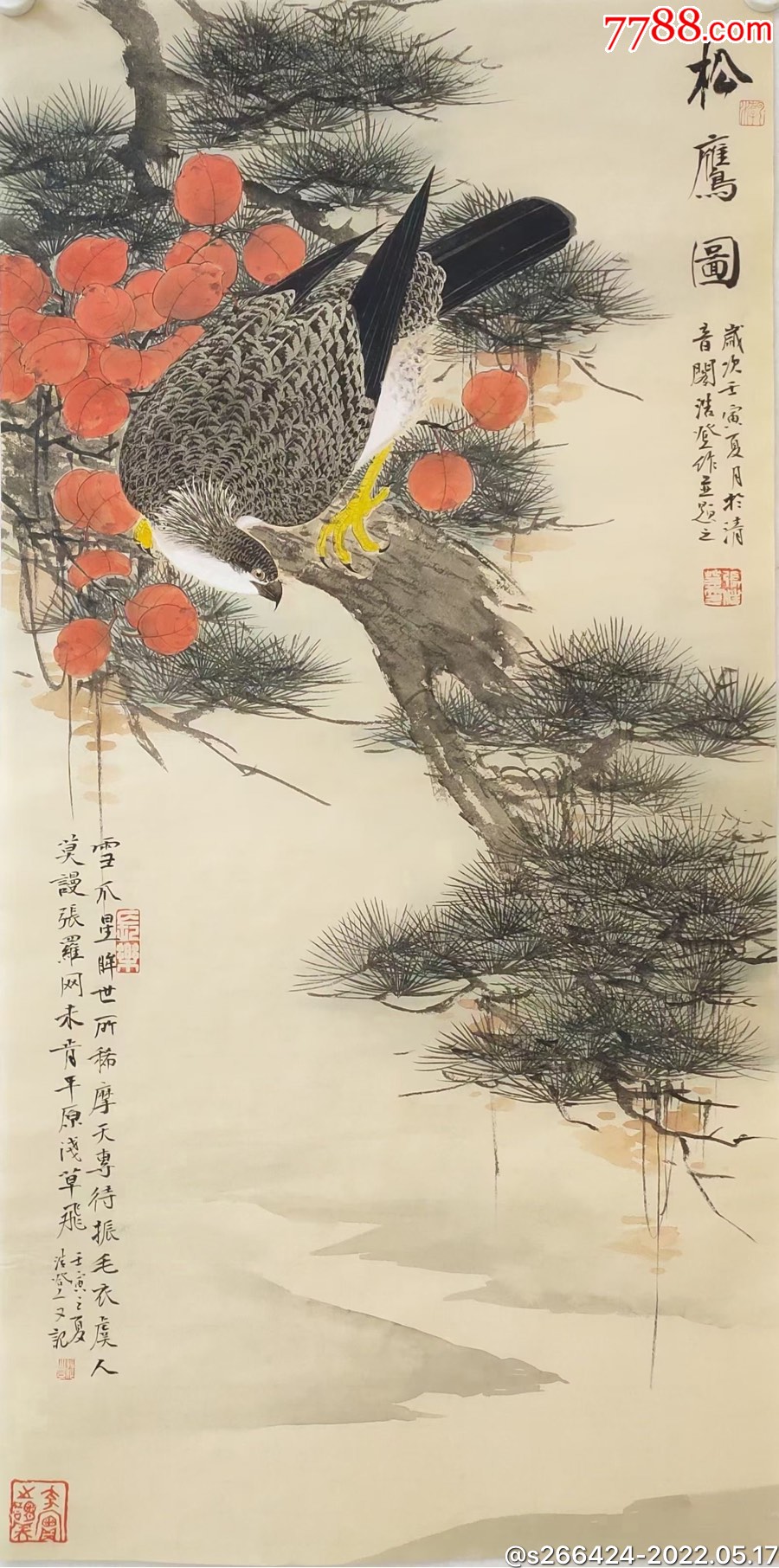 张浩登松鹰图