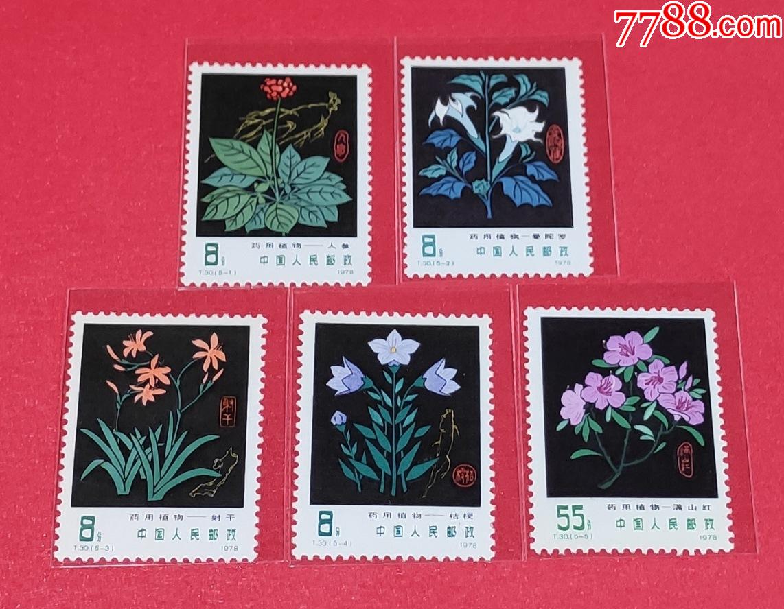 t30药用植物邮票一套5枚