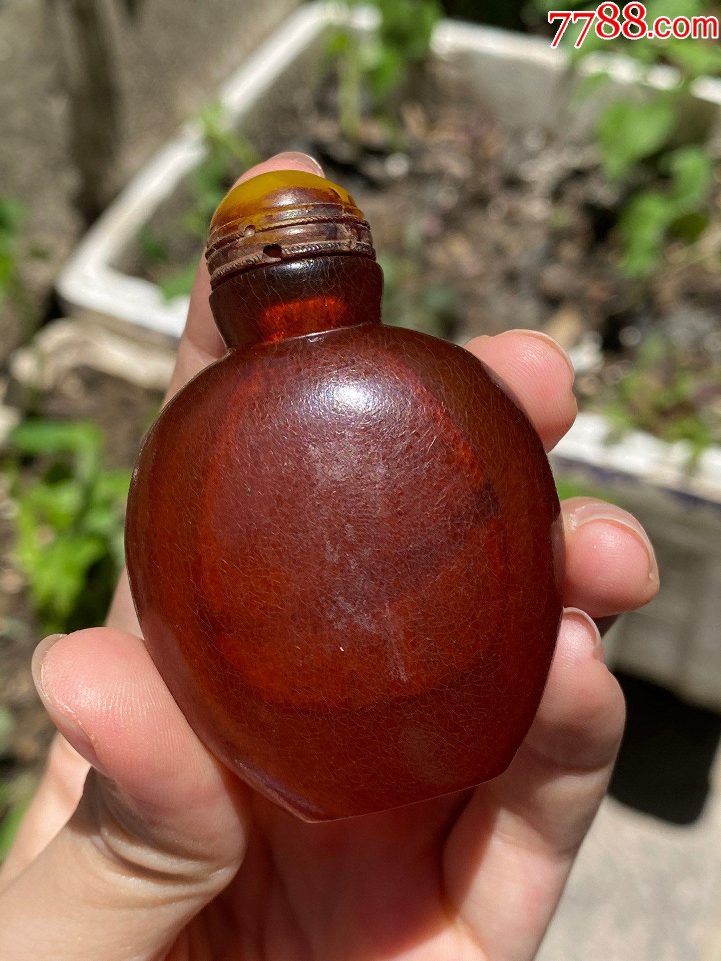 琥珀素面鼻烟壶._琥珀_图片价格_收藏行情_7788集邮网