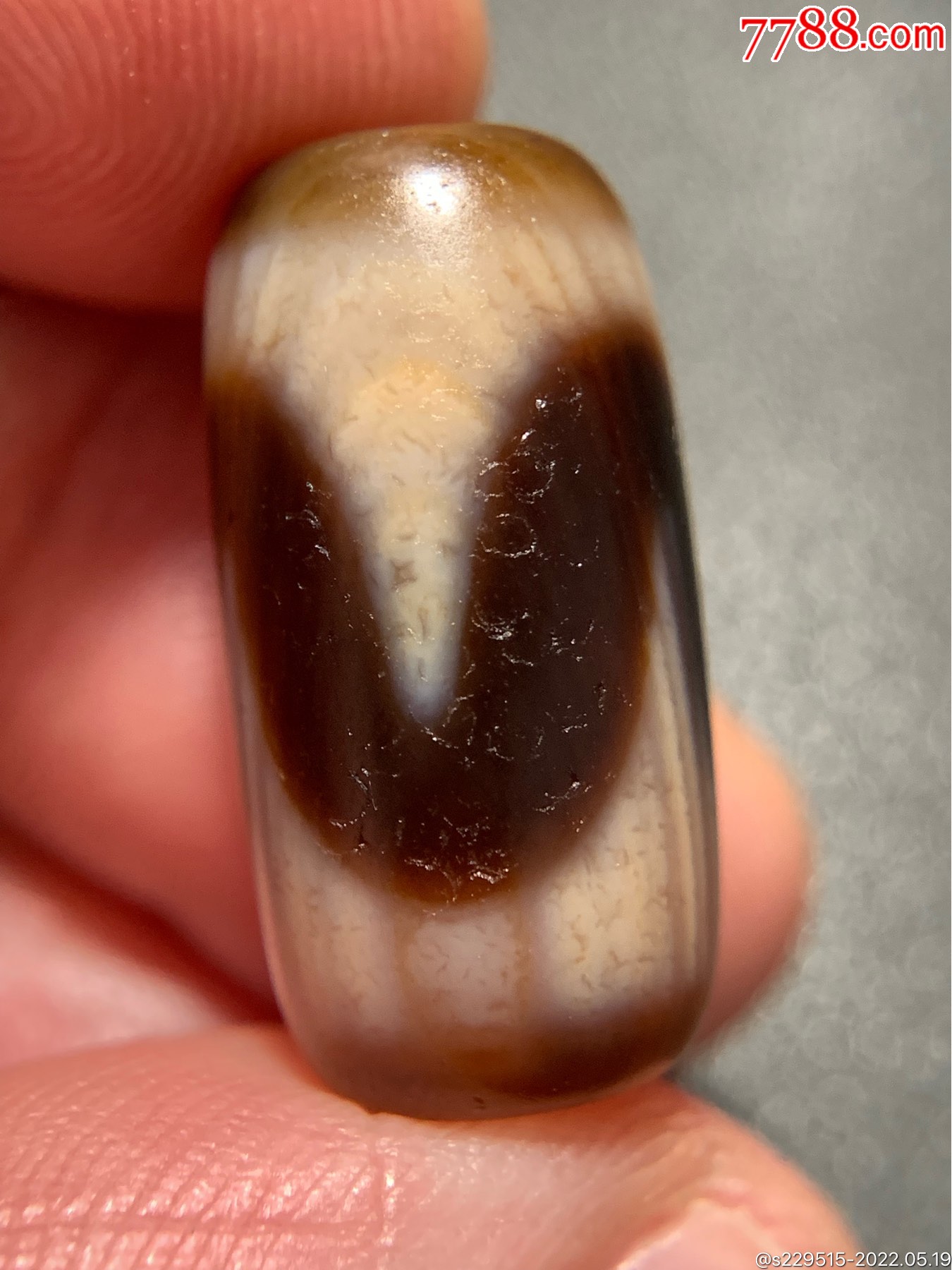 藏传带朱砂虎牙天珠21811毫米