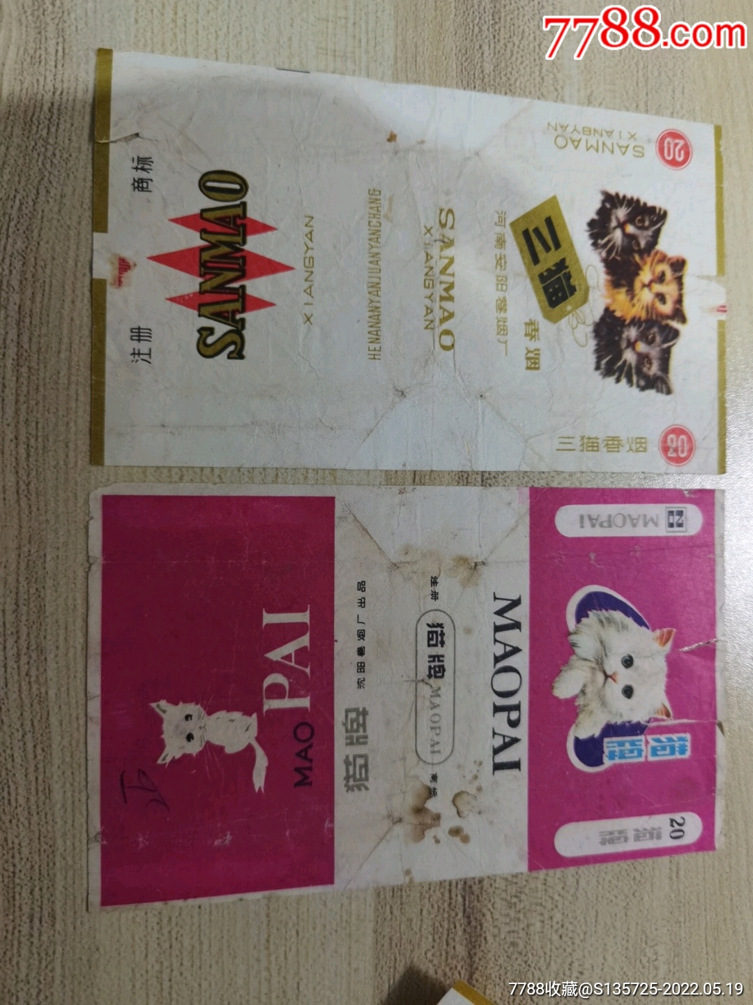 三猫猫