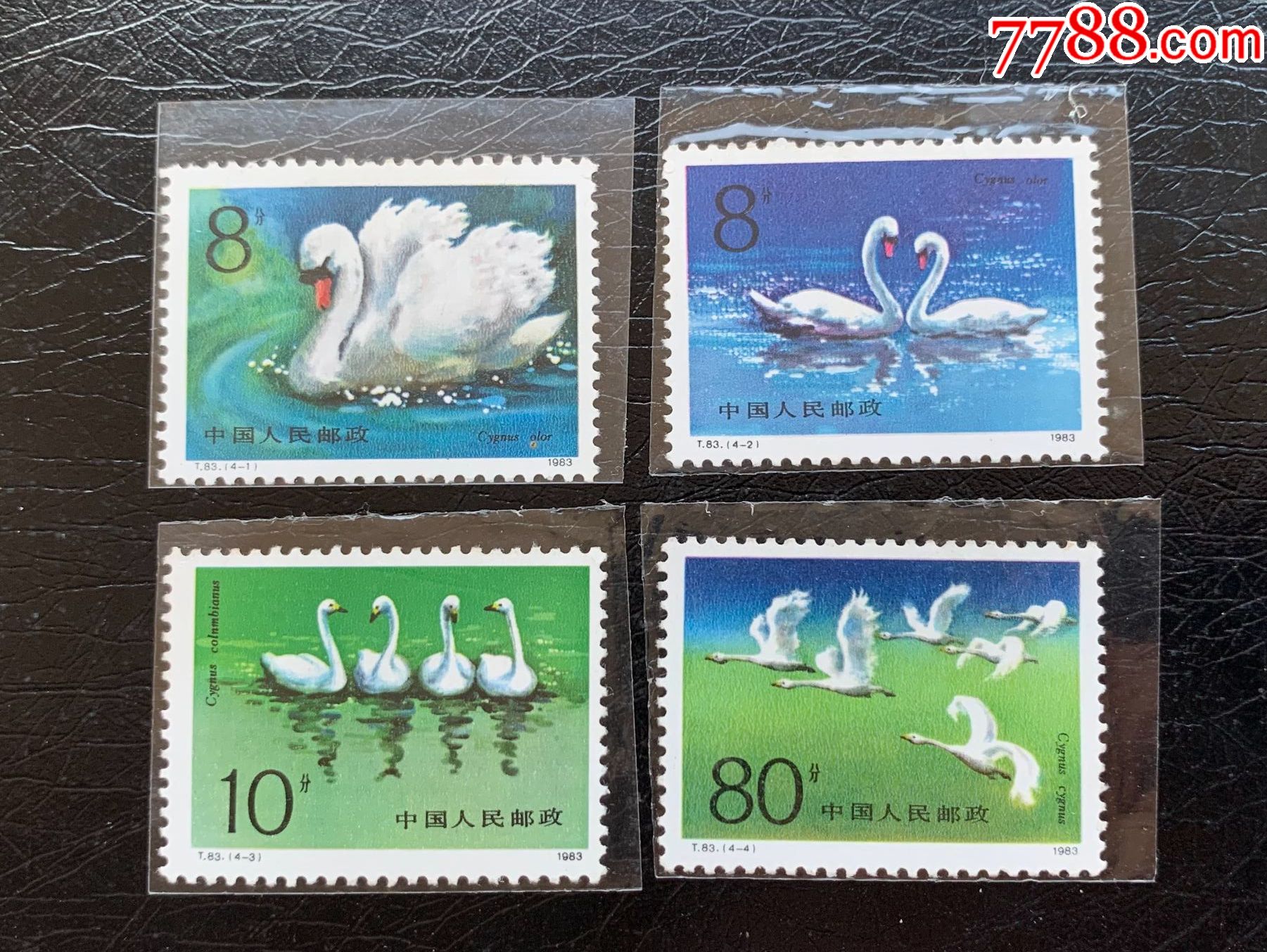 t83天鹅邮票