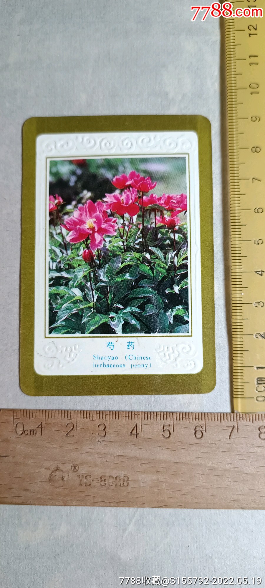 1985年历卡中国画报社芍药