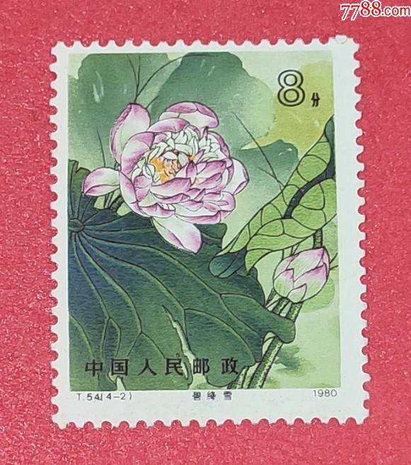 t54荷花42邮票一枚