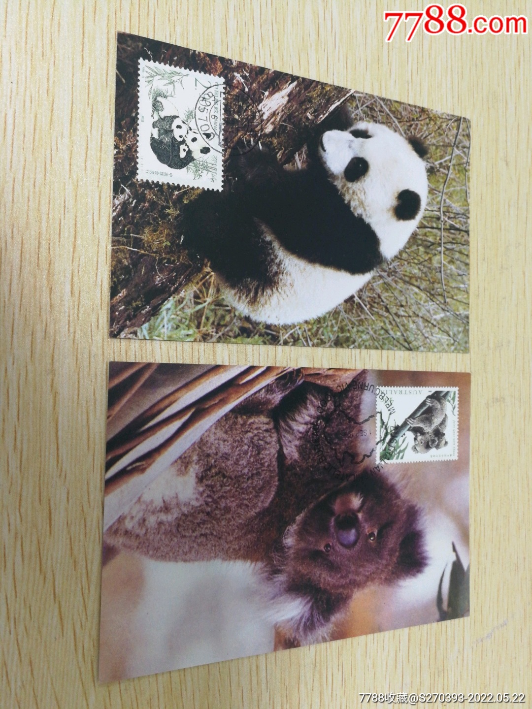 熊猫考拉极限明信片