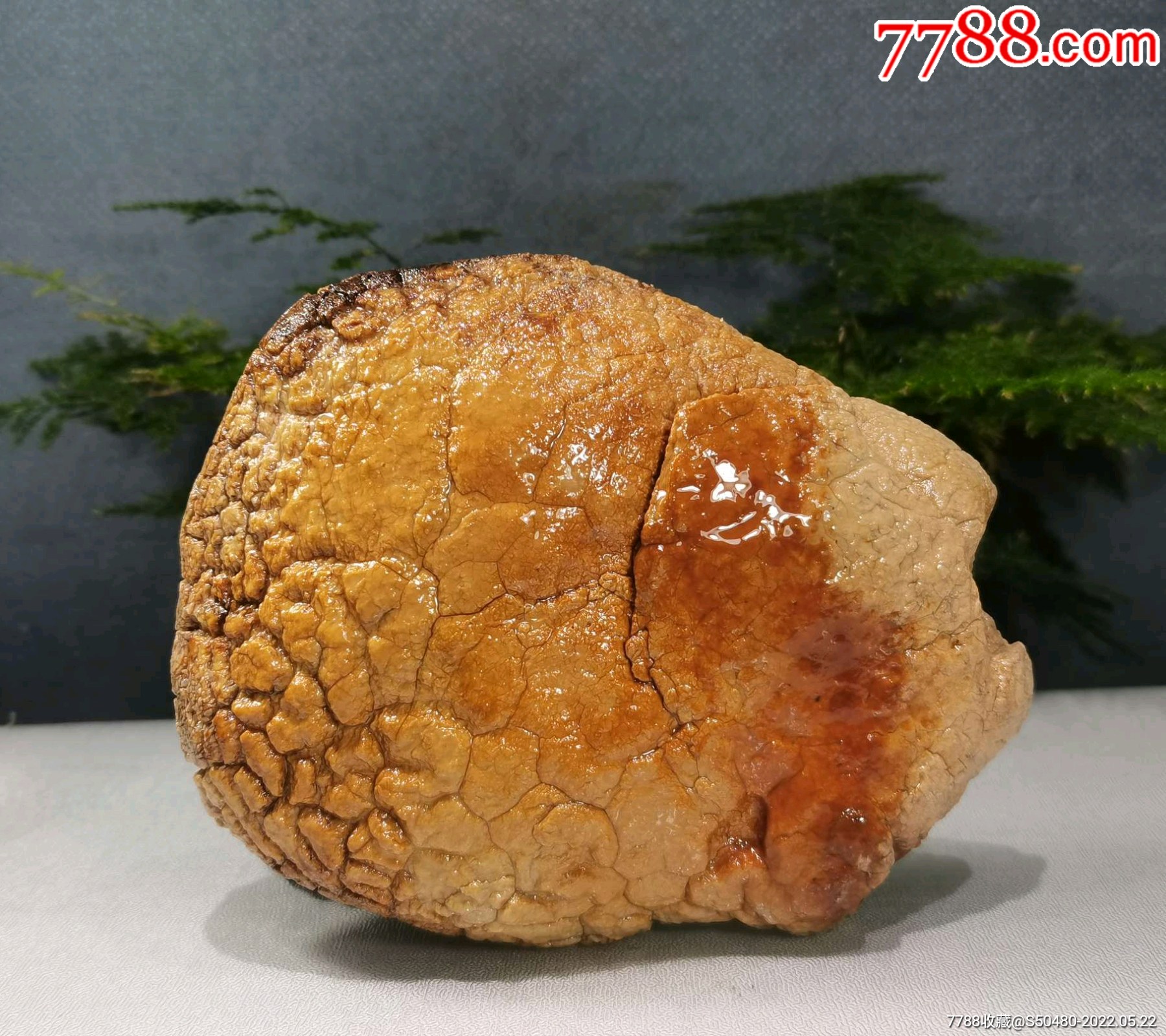 外来观赏石天然型皮色奇石马牙开片埃及蛋白石_风砺石/戈壁石_第2张