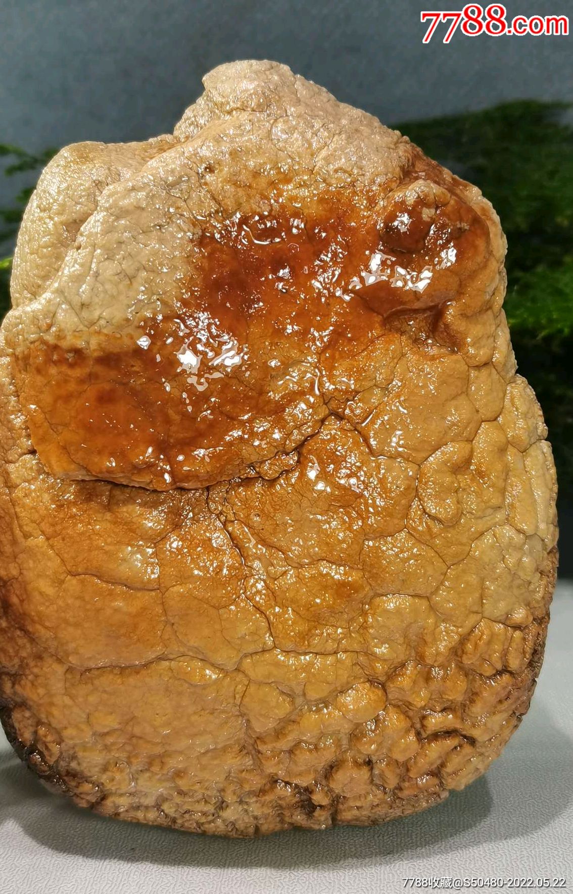 外来观赏石天然型皮色奇石马牙开片埃及蛋白石_风砺石/戈壁石_第3张