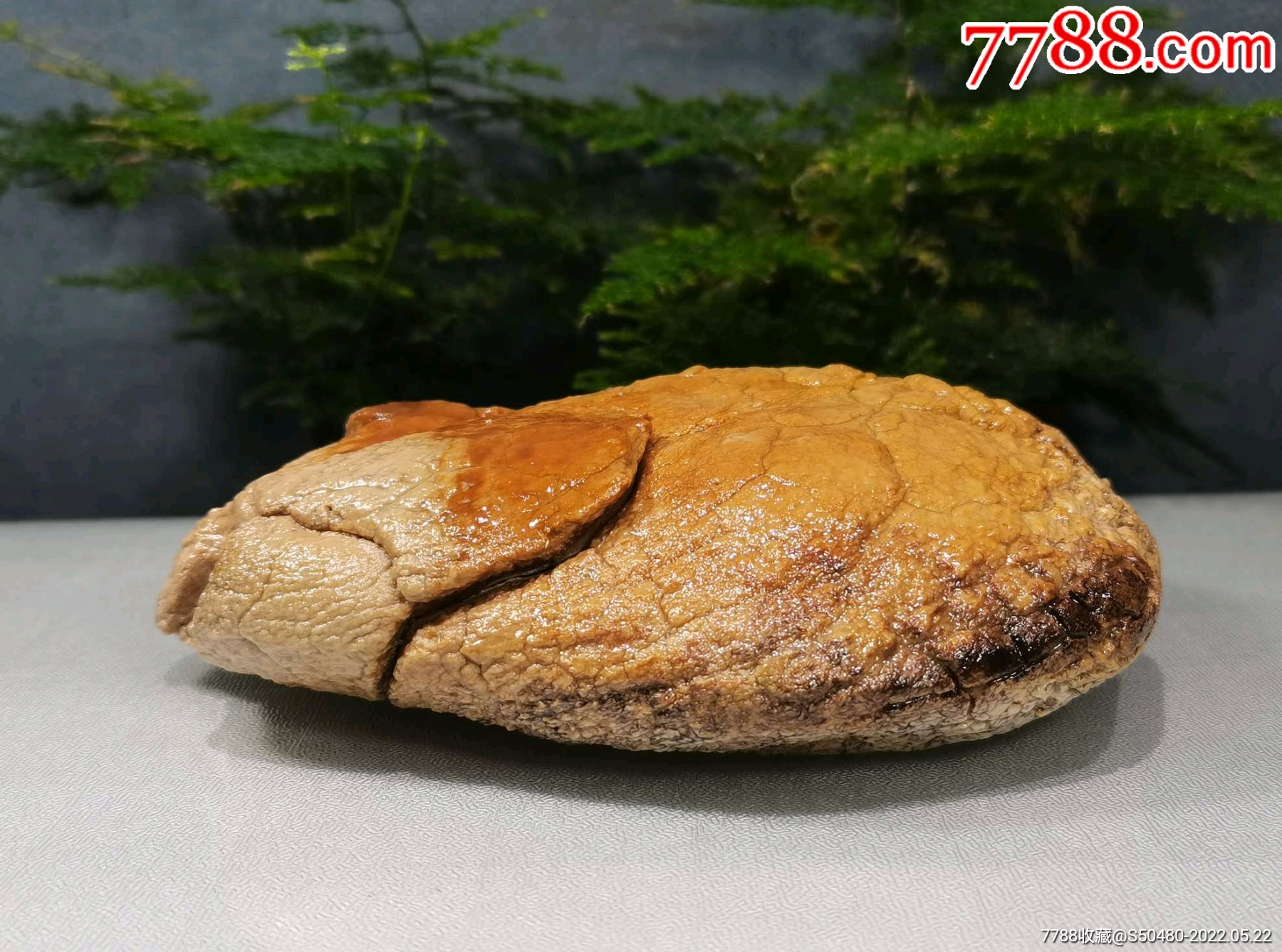 外来观赏石天然型皮色奇石马牙开片埃及蛋白石_风砺石/戈壁石_第4张