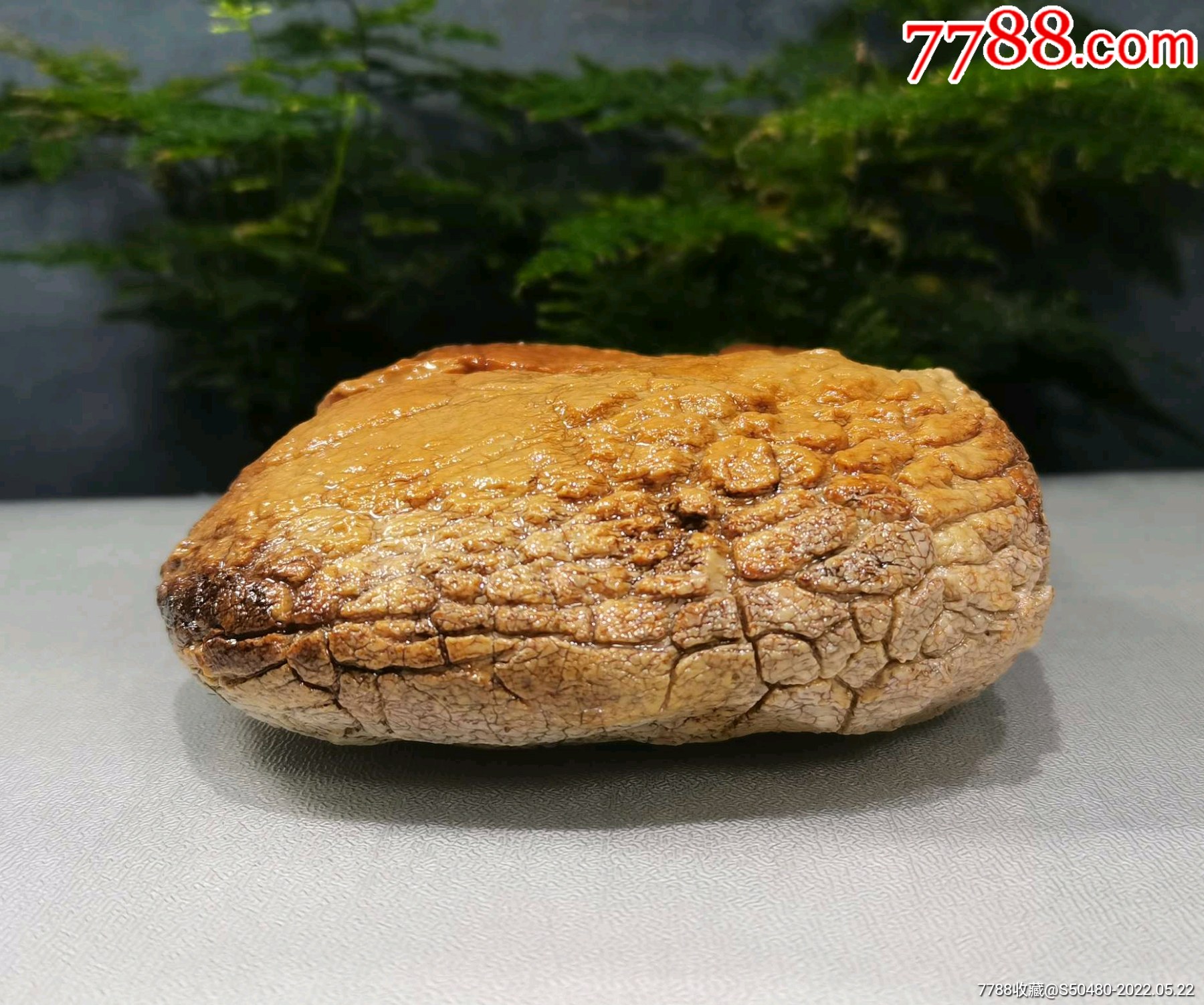 外来观赏石天然型皮色奇石马牙开片埃及蛋白石_风砺石/戈壁石_第6张