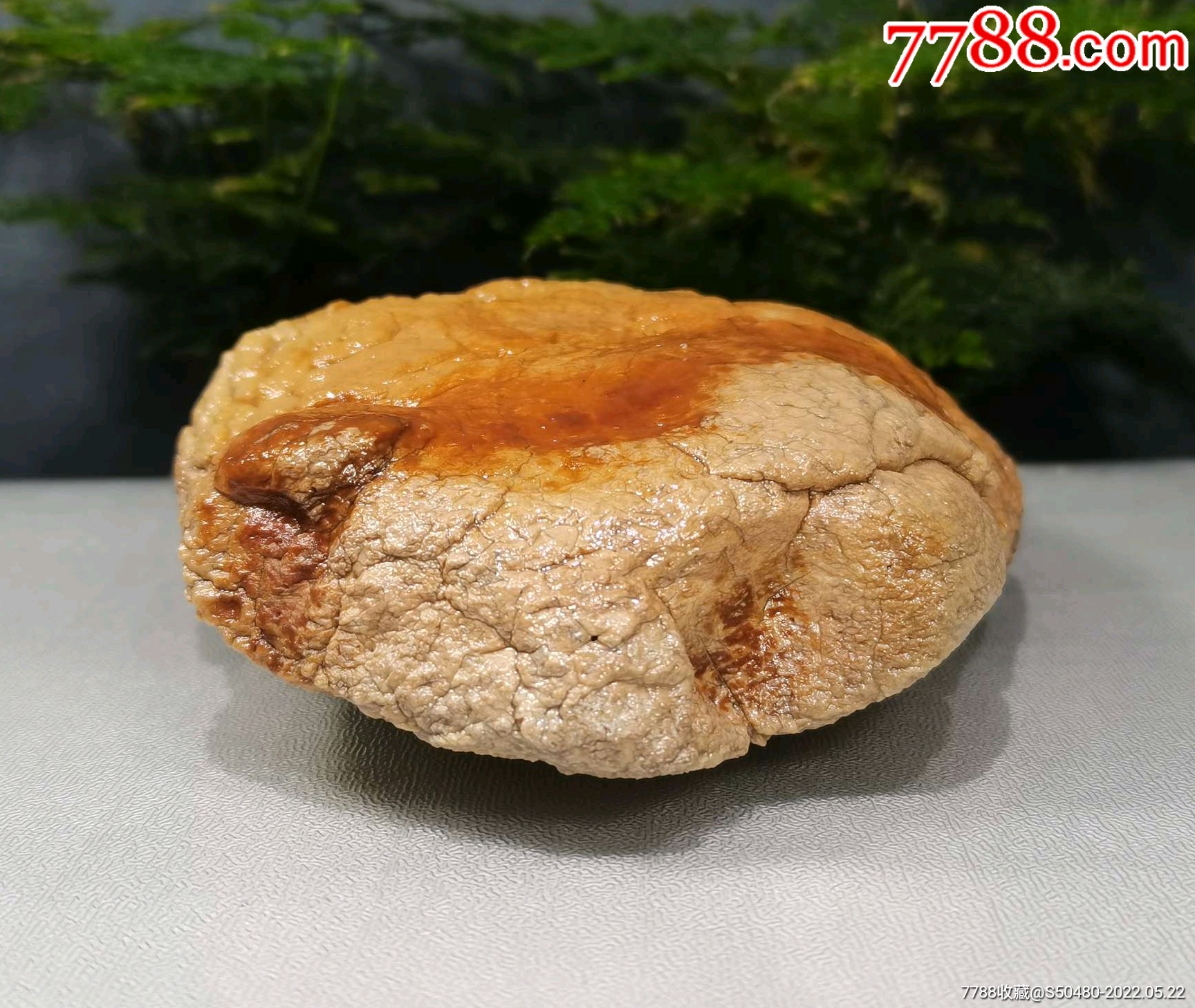 外来观赏石天然型皮色奇石马牙开片埃及蛋白石_风砺石/戈壁石_第7张