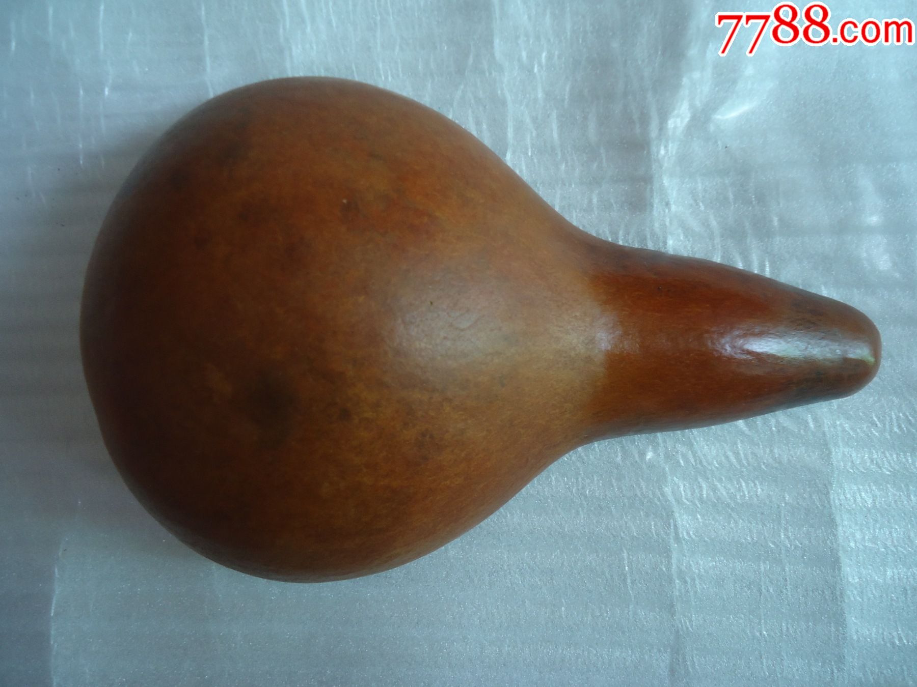 老葫芦瓢老水瓢