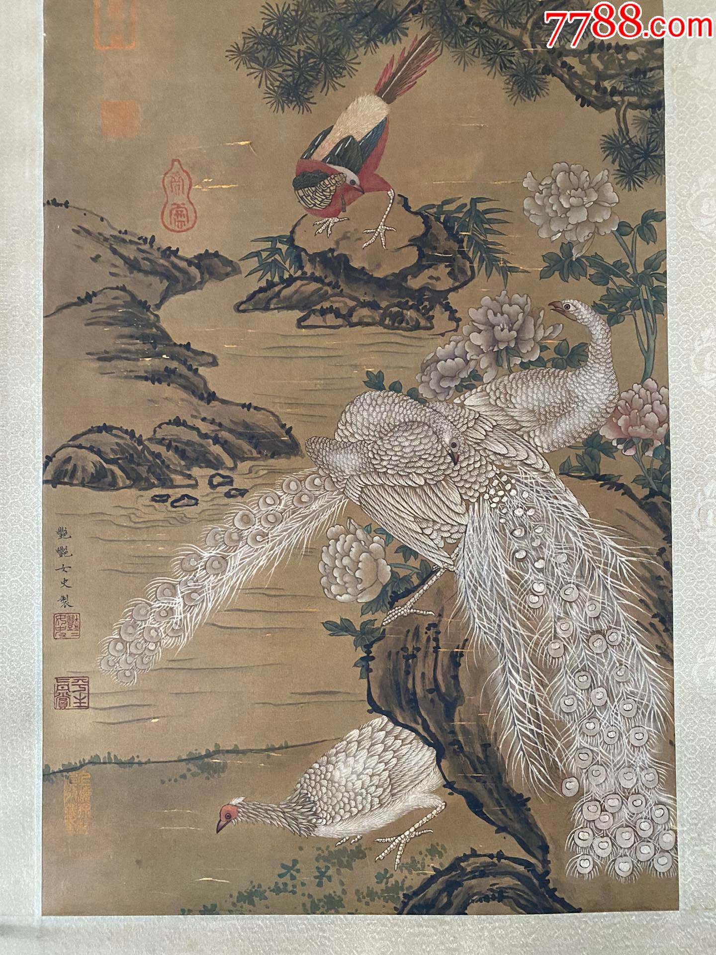 艳艳女史老绢a132s15f