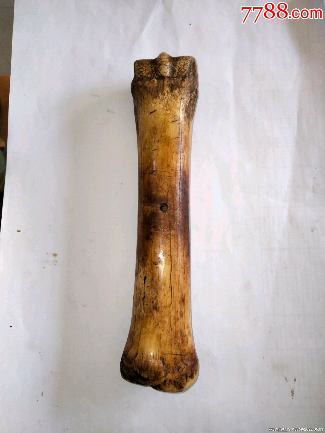 精美包浆瓷化老兽骨