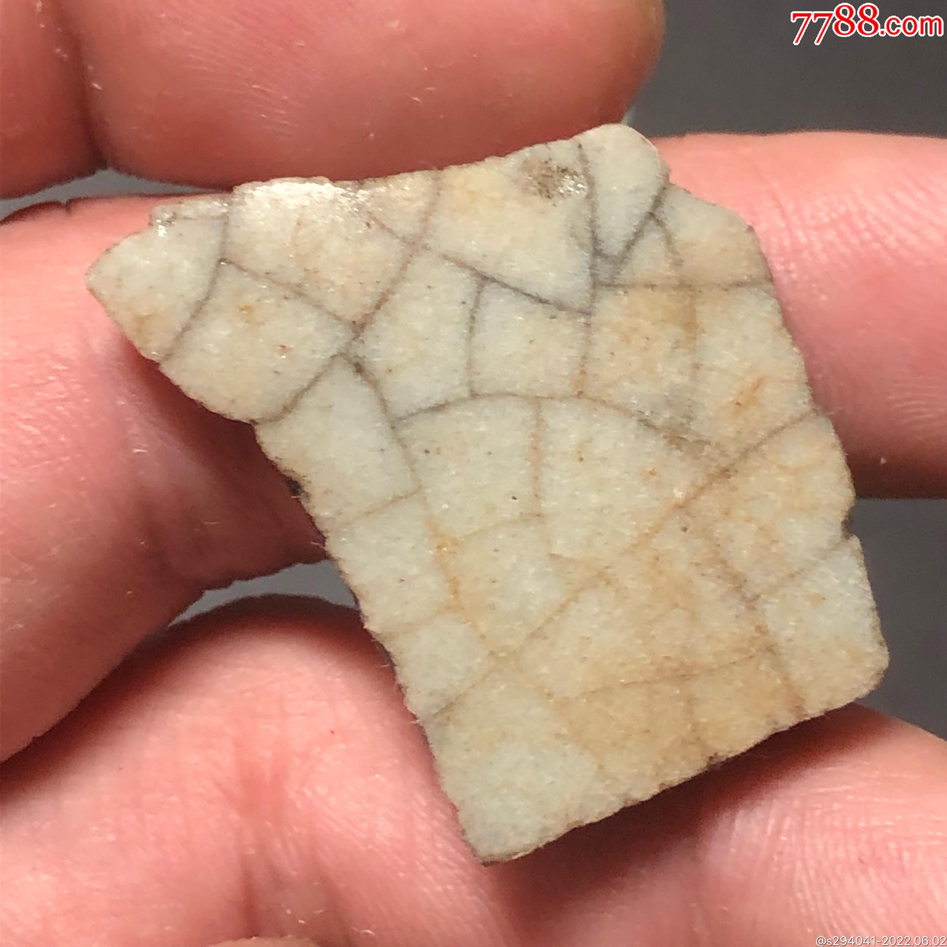 正宗南哥金丝铁线