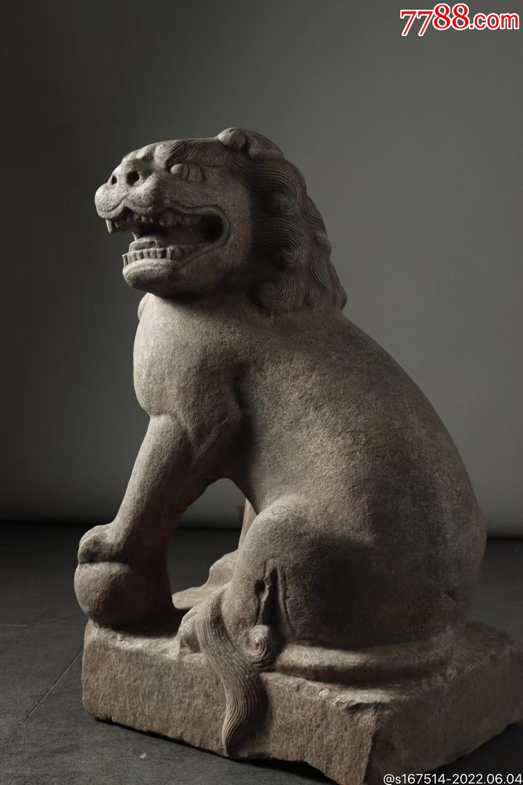 青石雄狮尺寸高60长40宽30此狮气势磅礴怒目圆瞪嘴巴大张口毛