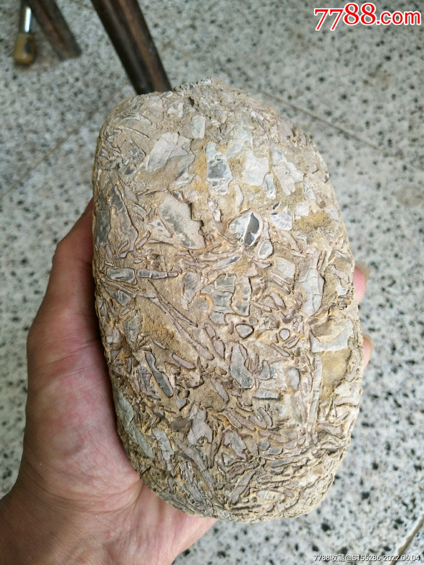 天然形成的老石头一块_价格2500元_第1张_7788收藏__收藏热线