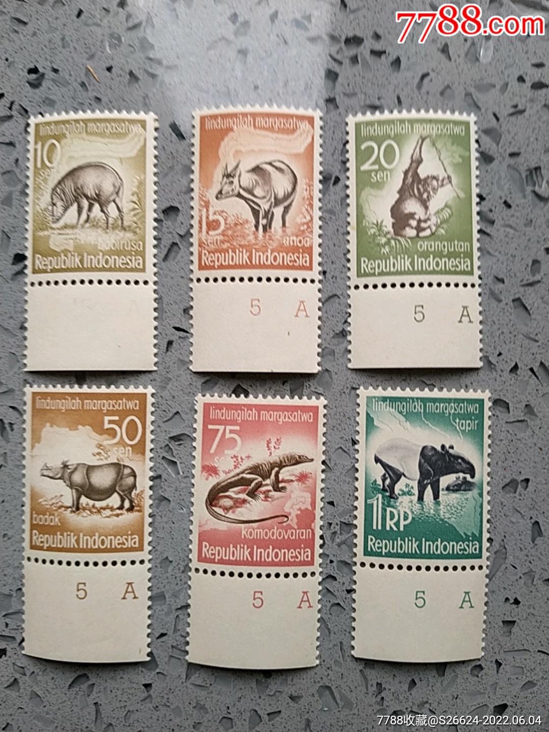 1959年印度尼西亚动物苏拉威西鹿豚和水牛苏门答腊犀牛带边纸邮票6
