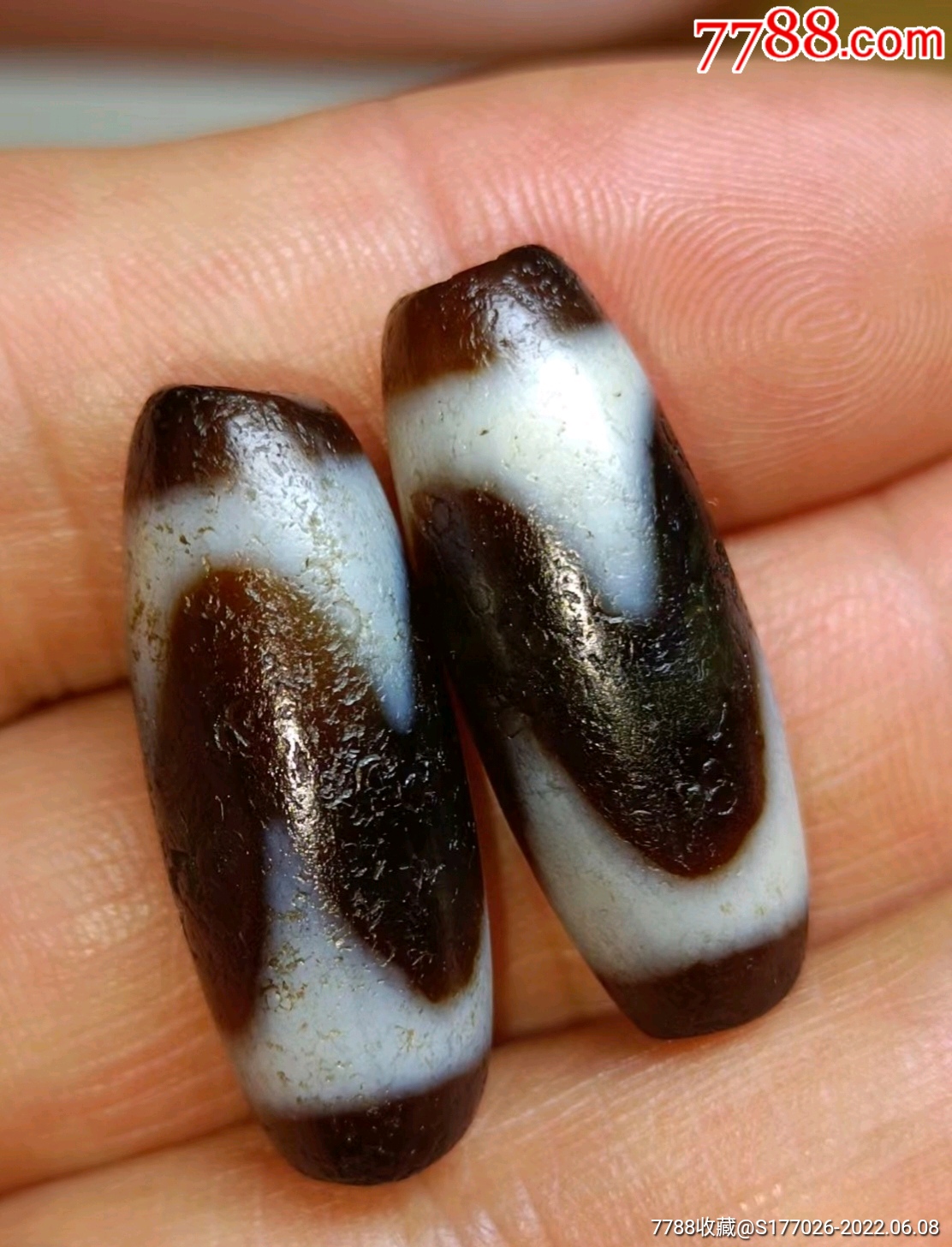 藏传虎牙天珠一对己玉化