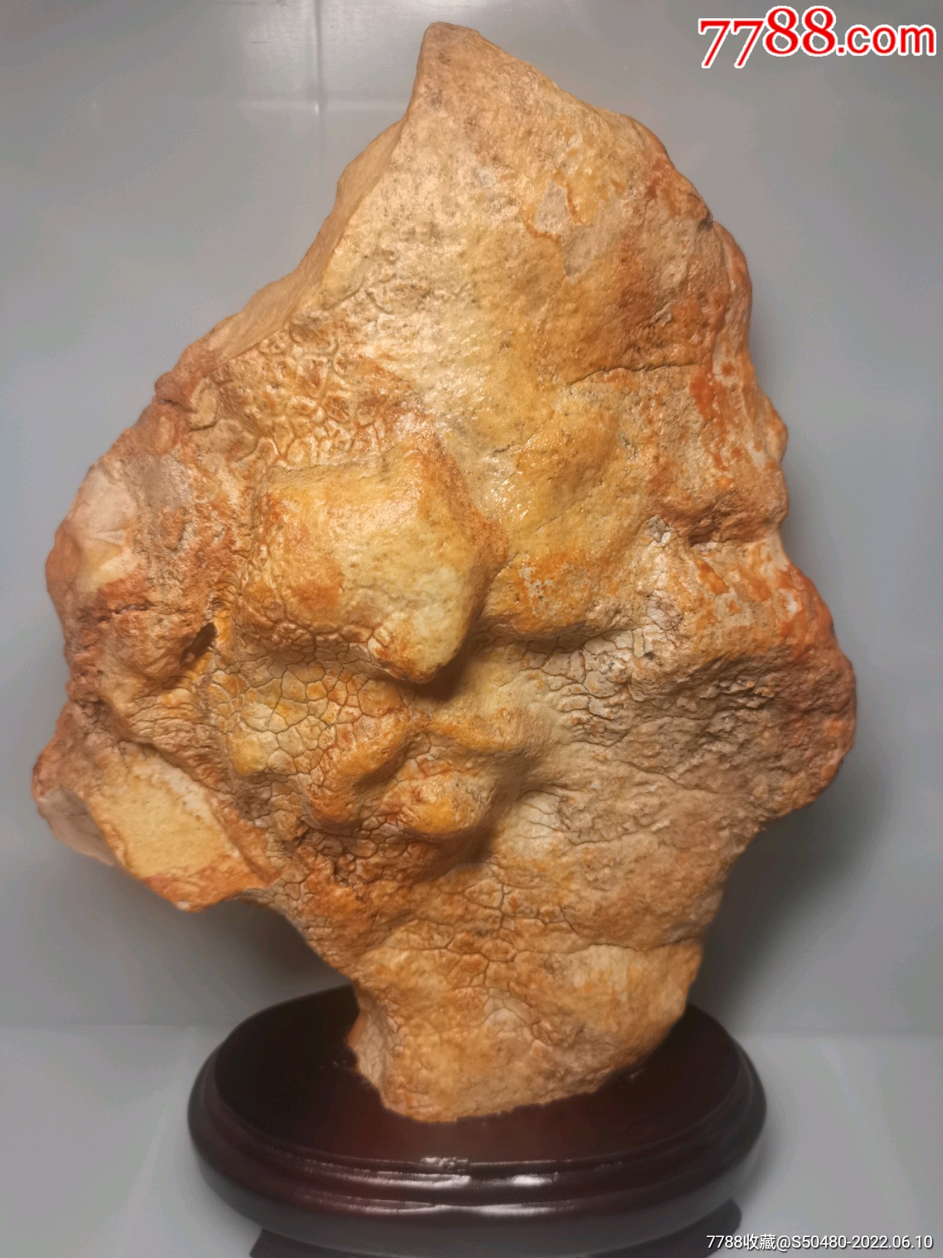 纯天然无人为型皮色观赏奇石沙漠漆风凌石风砺石戈壁玛瑙原石阿拉善