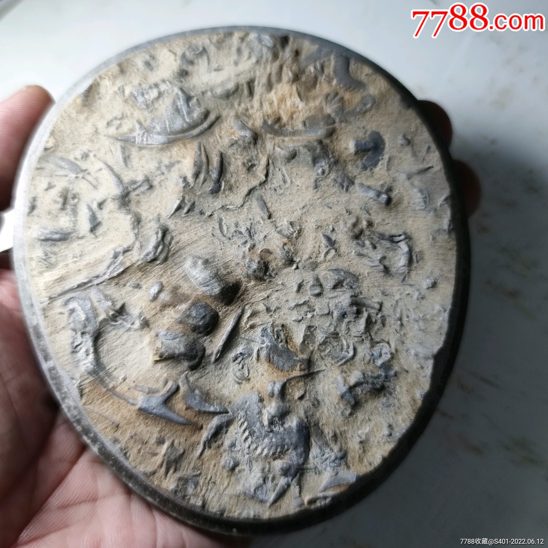 恐龙蛋化石-动植物化石-7788收藏__收藏热线